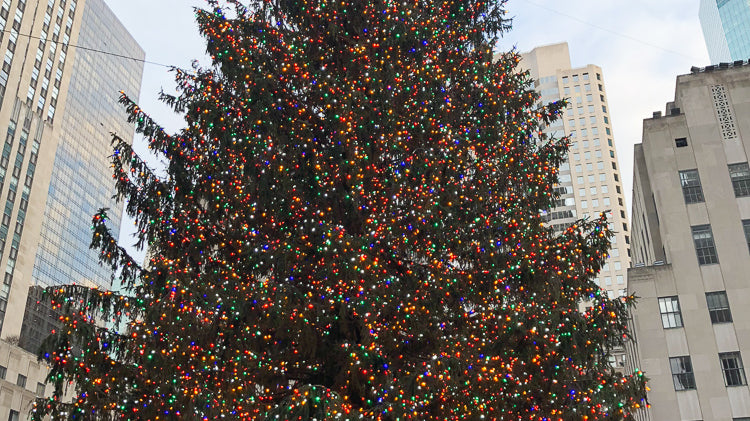 New York at Christmas (2018) Photo Diary