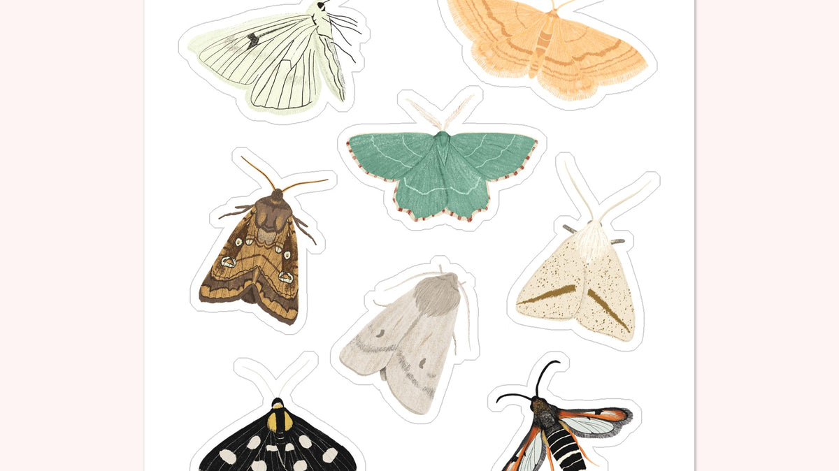 Kent's Magnificent Moths sticker sheet for Butterfly Conservation