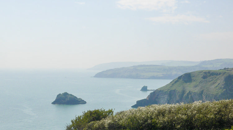 Photo Diary: Berry Head, Brixham