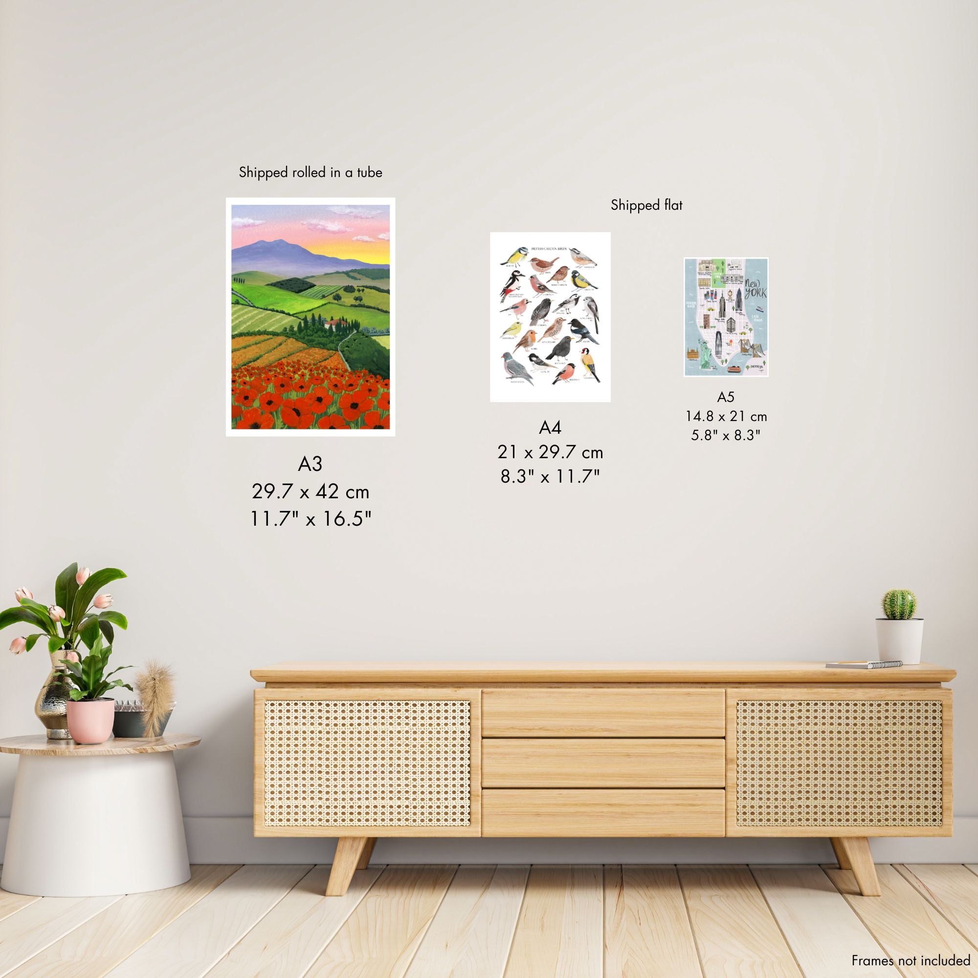 British Moths Art Print - Sarah Frances