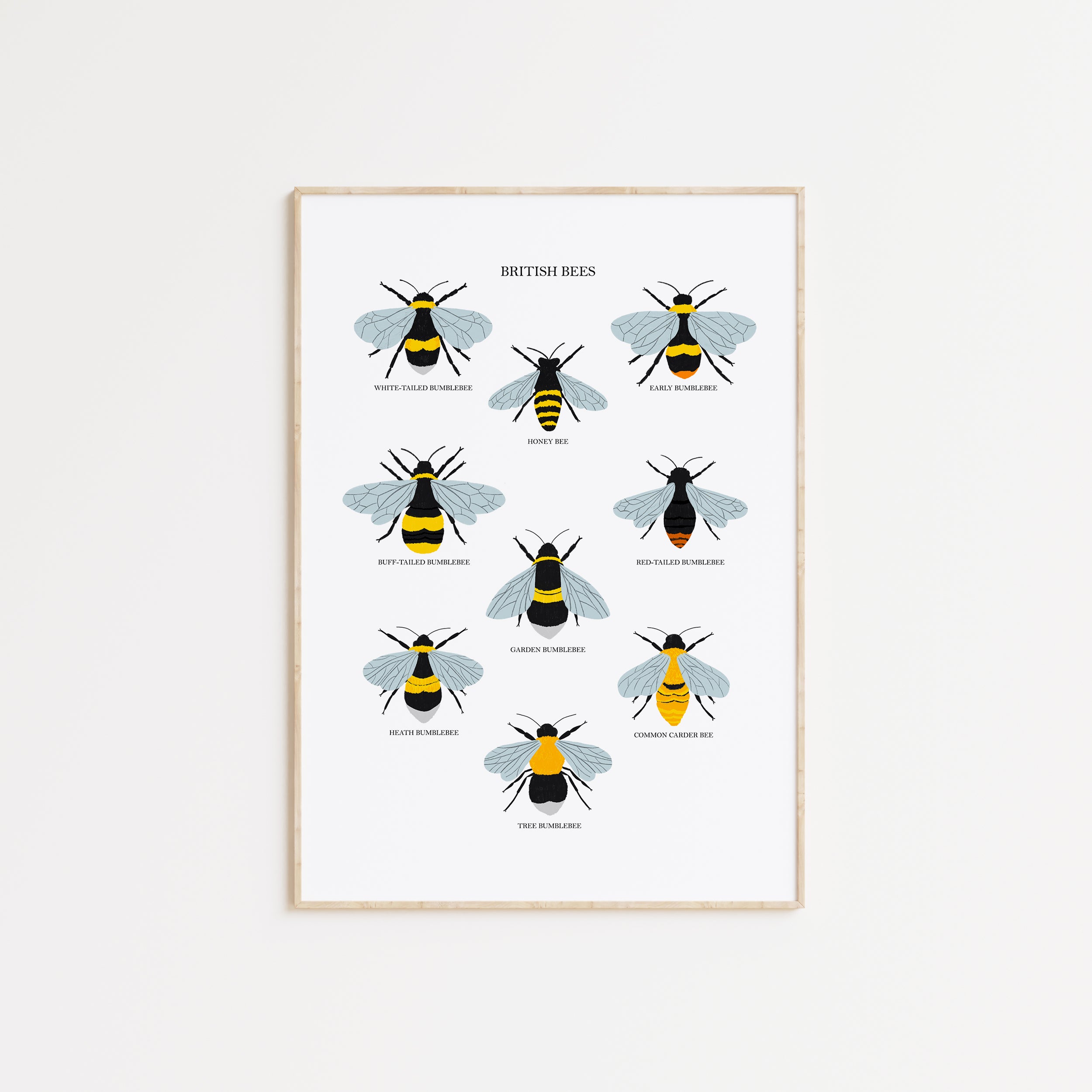British Bees Art Print - Sarah Frances