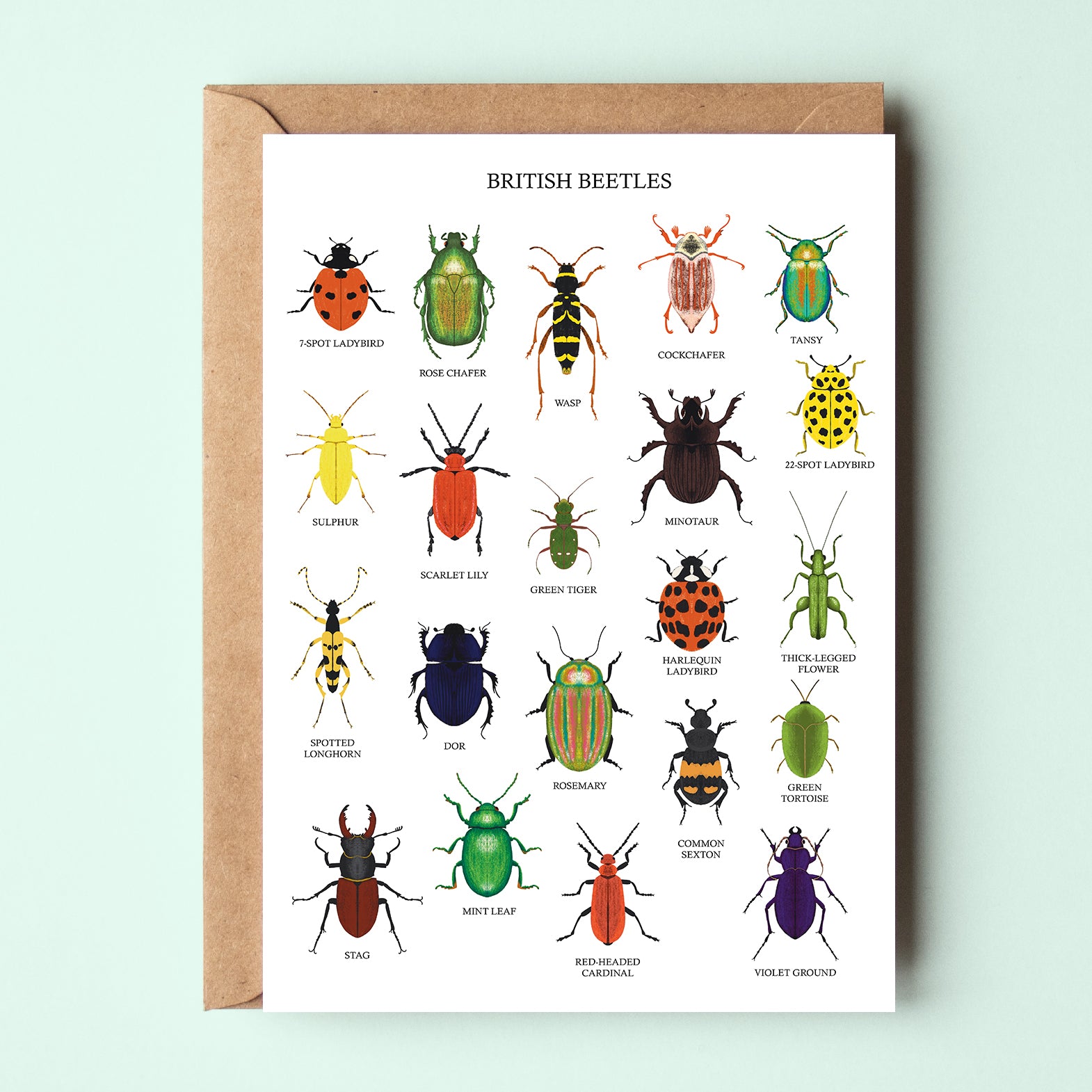 British Beetles Greetings Card - Sarah Frances
