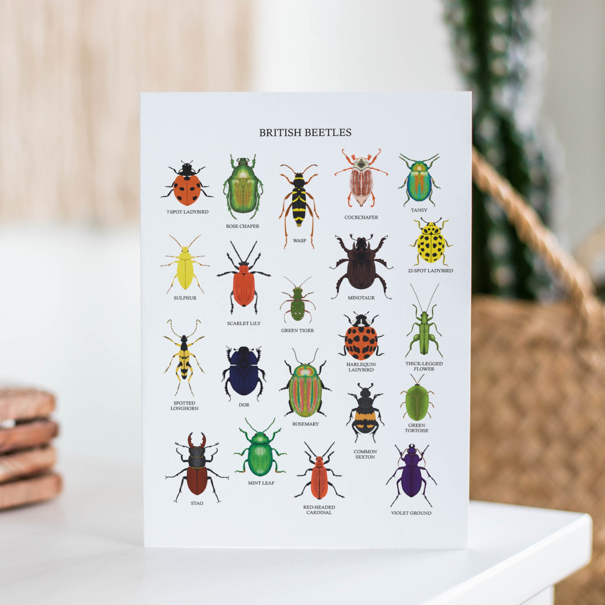 British Beetles Greetings Card - Sarah Frances