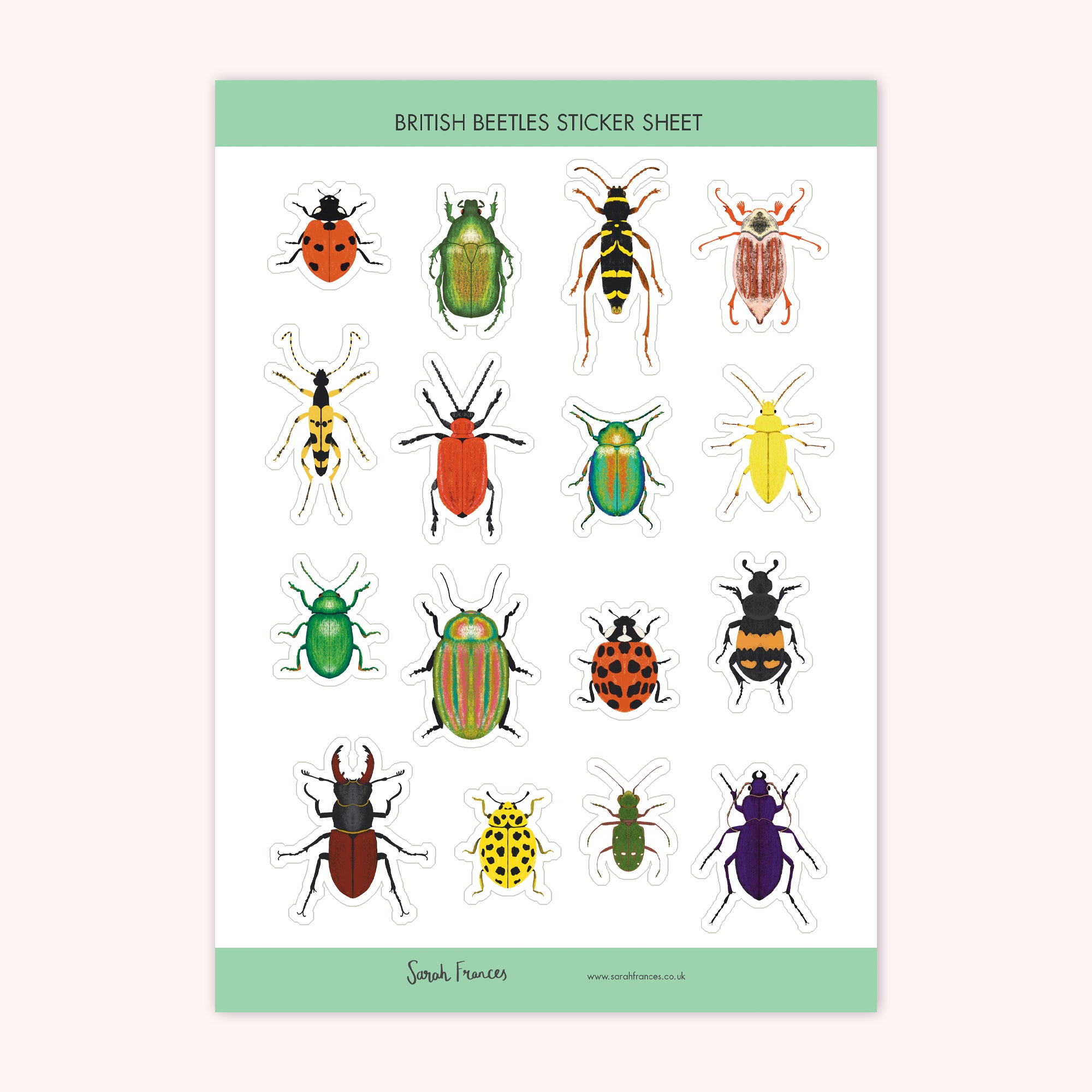 British Beetles Stickers - Sarah Frances