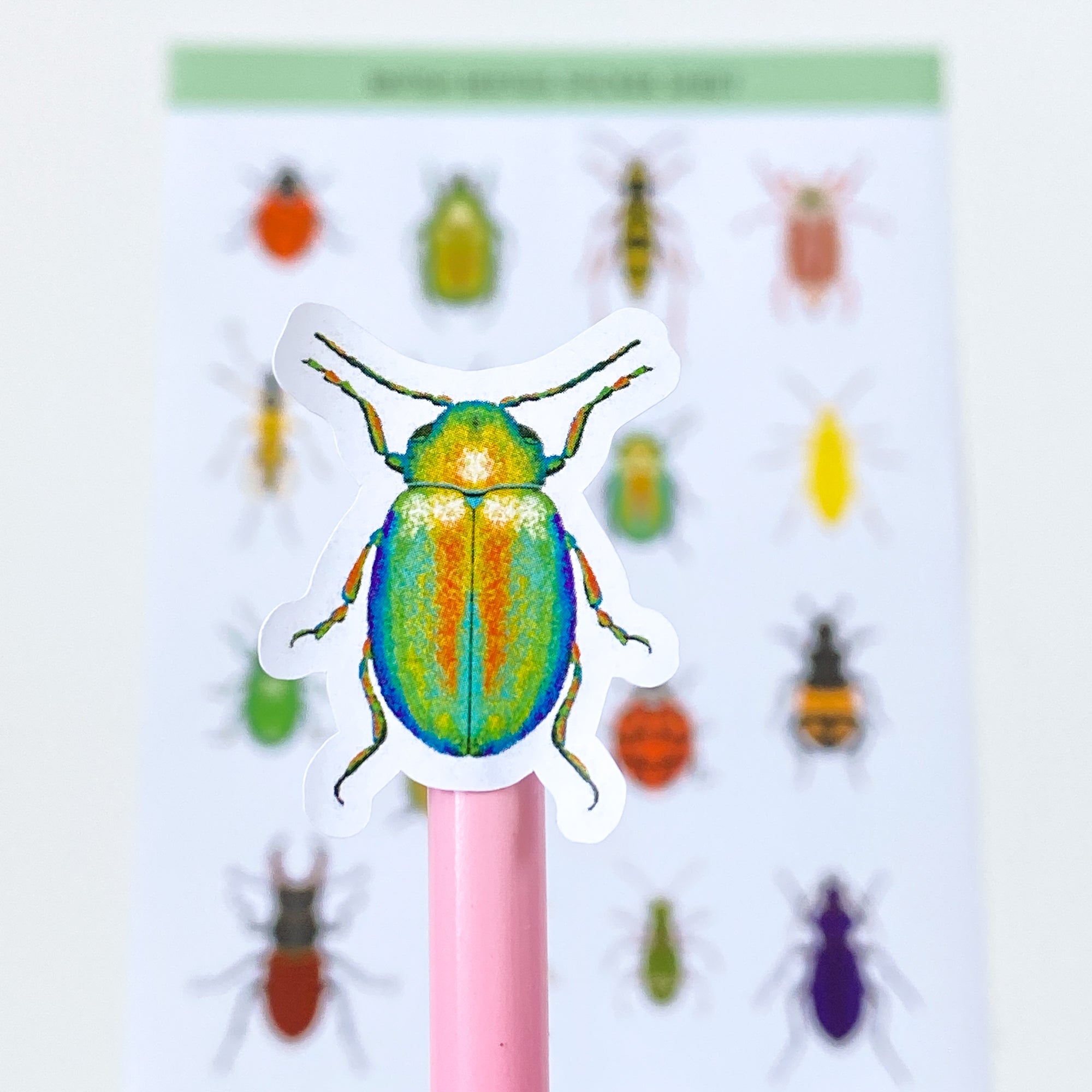 British Beetles Stickers - Sarah Frances