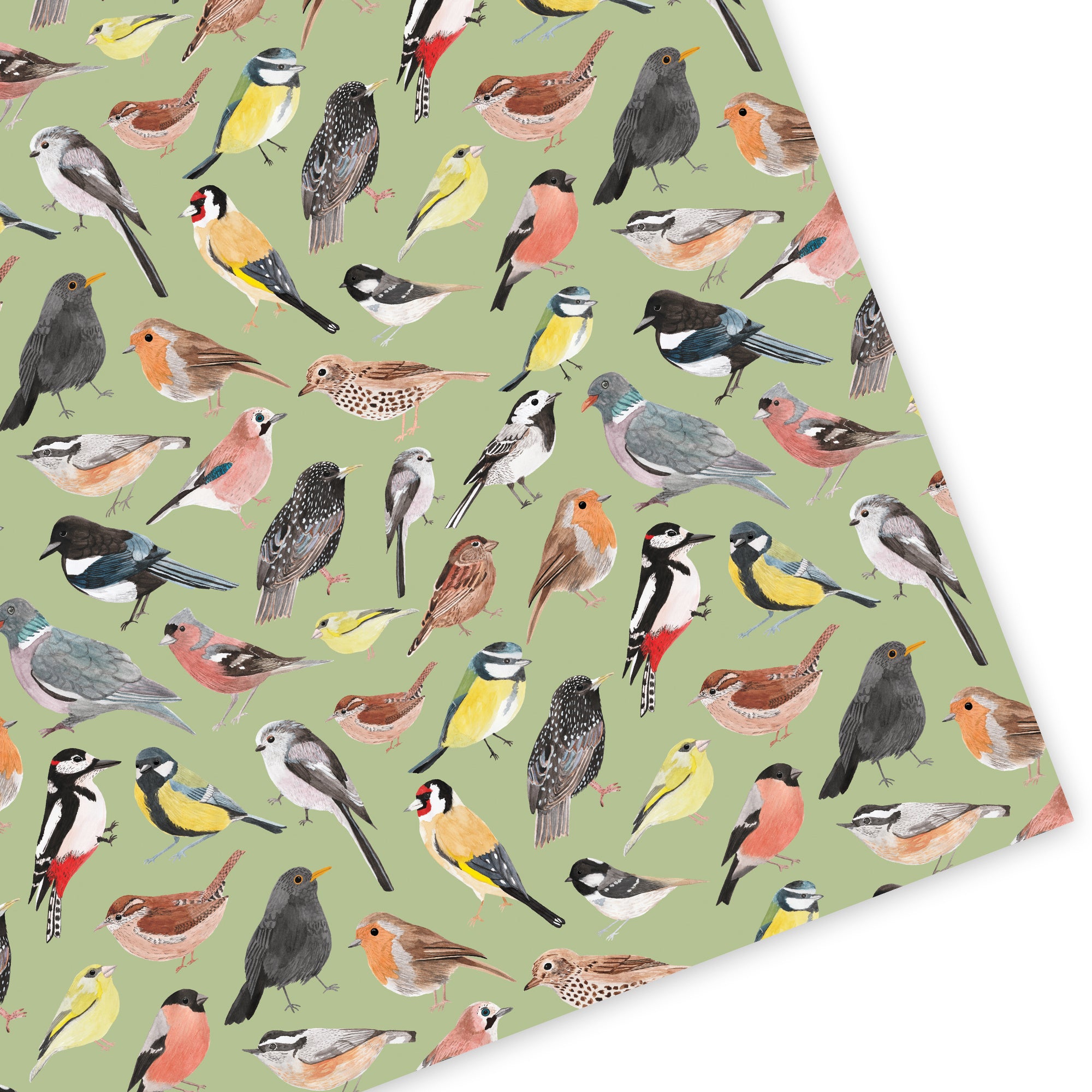 British Birds Wrapping Paper - Sarah Frances