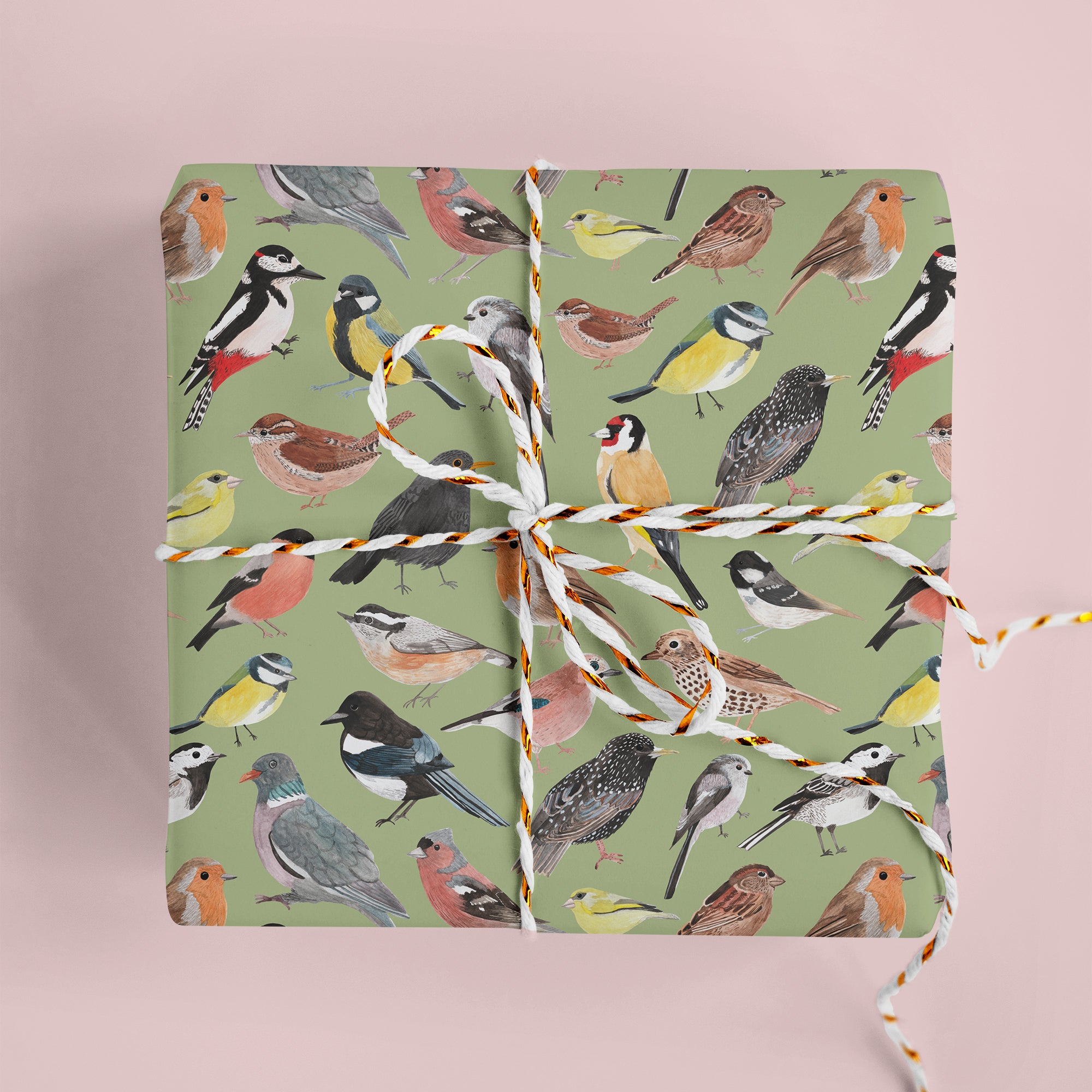 British Birds Wrapping Paper - Sarah Frances
