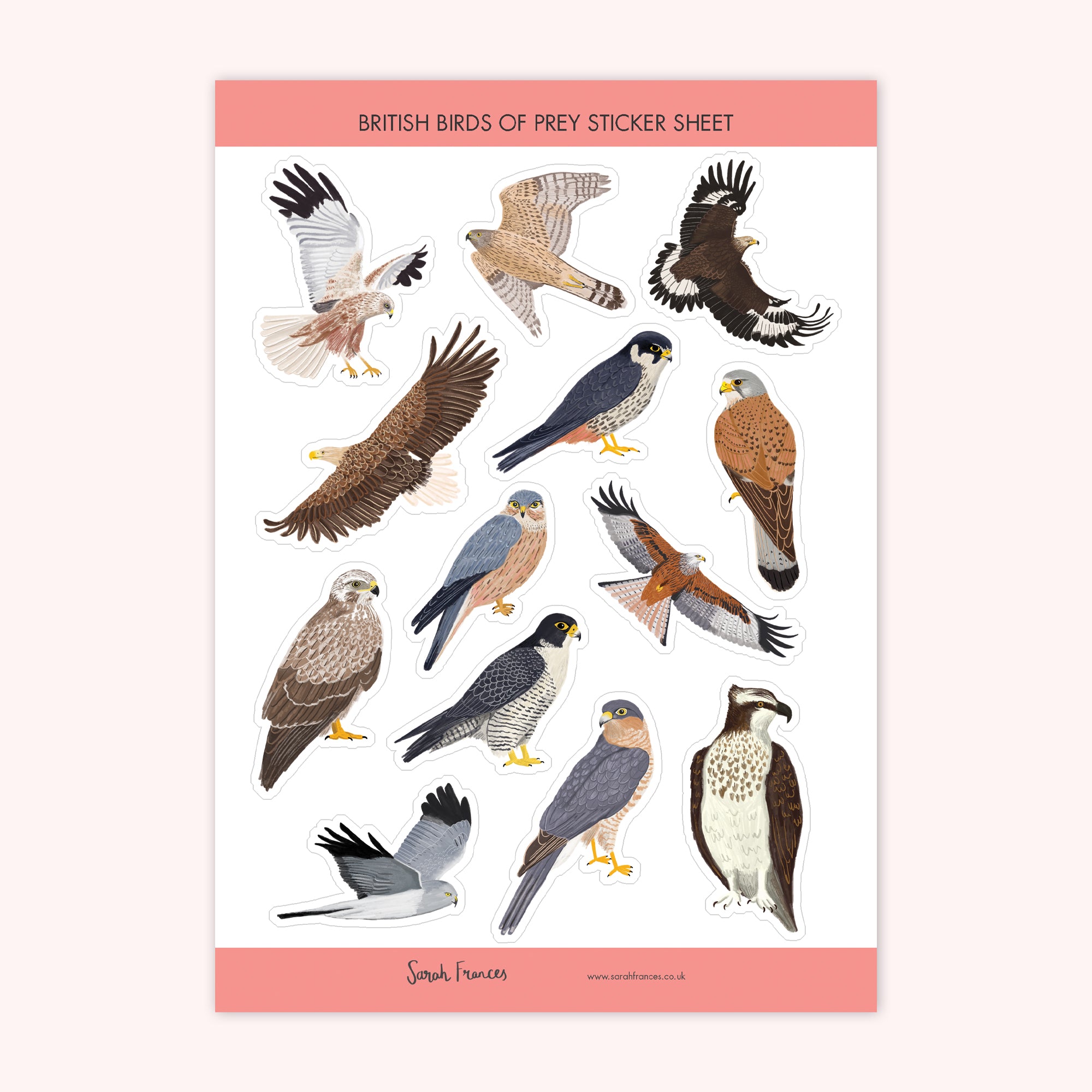British Birds of Prey Sticker Sheet - Sarah Frances