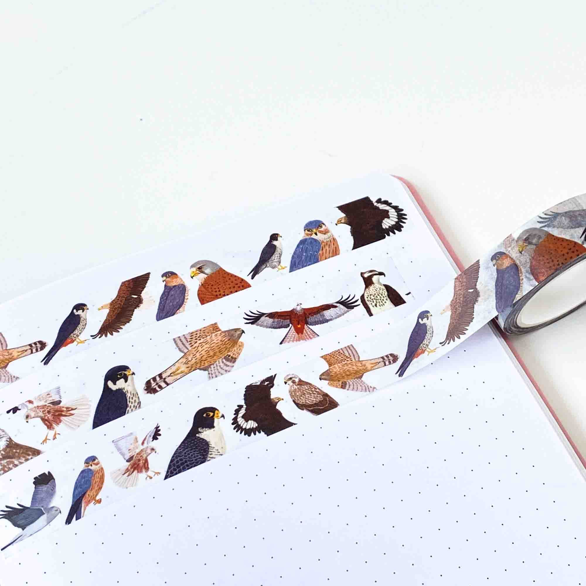 British Birds of Prey Washi Tape - Sarah Frances