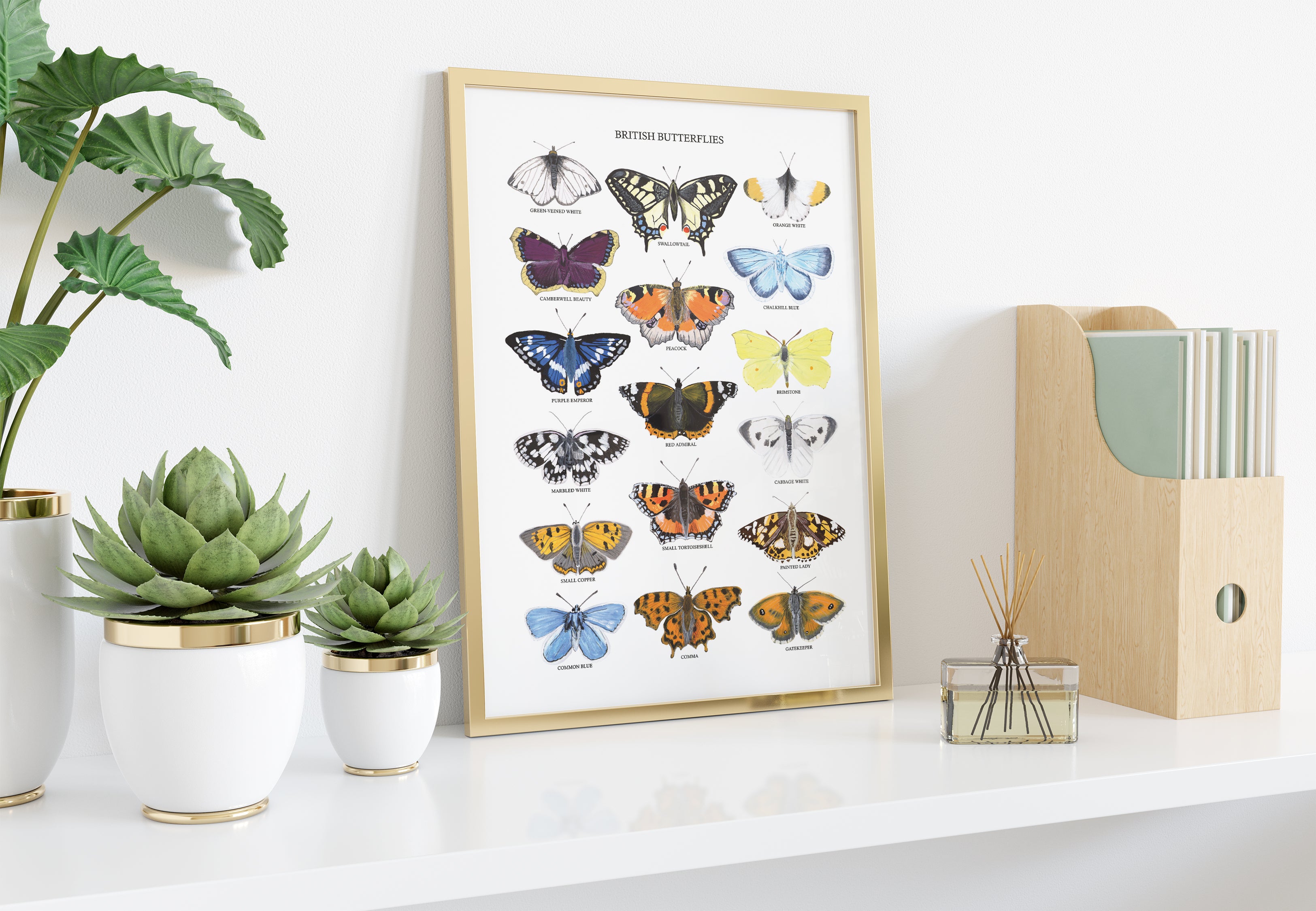 British Butterflies Art Print - Sarah Frances