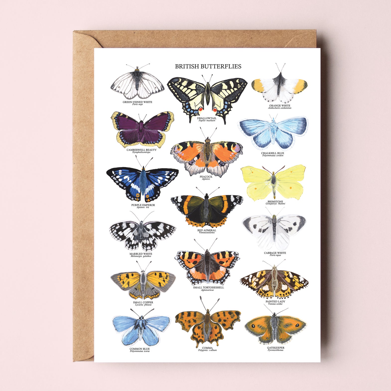British Butterflies Greetings Card - Sarah Frances