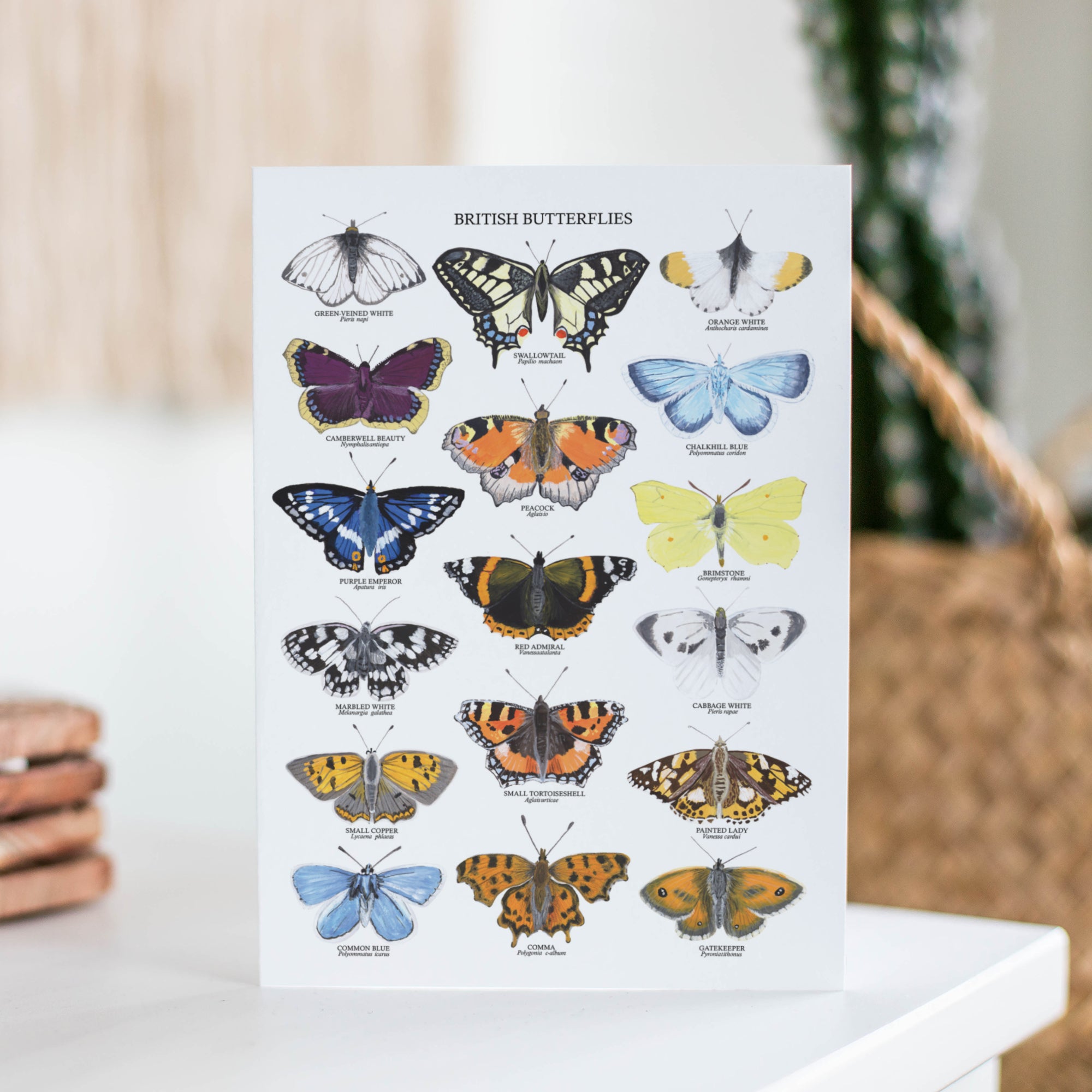 British Butterflies Greetings Card - Sarah Frances