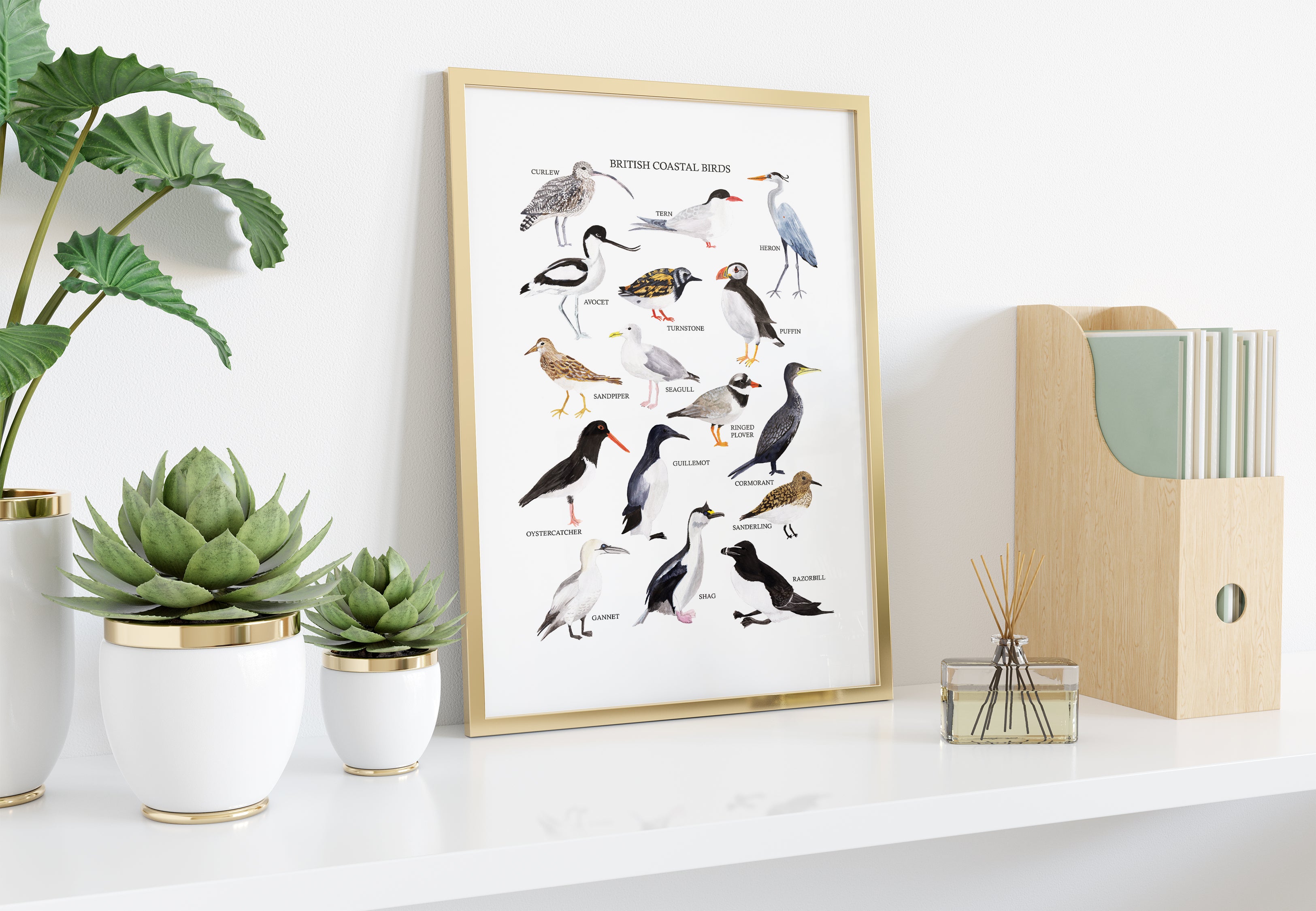 British Coastal Birds Art Print - Sarah Frances