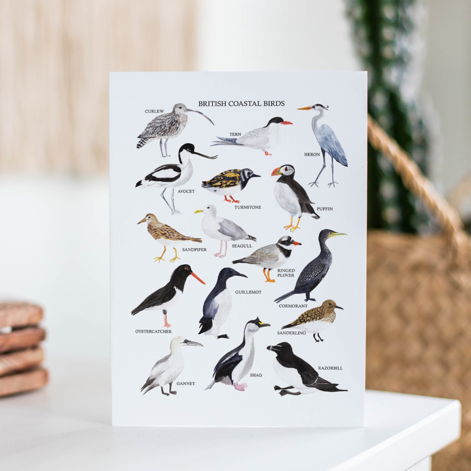 British Coastal Birds Greetings Card - Sarah Frances