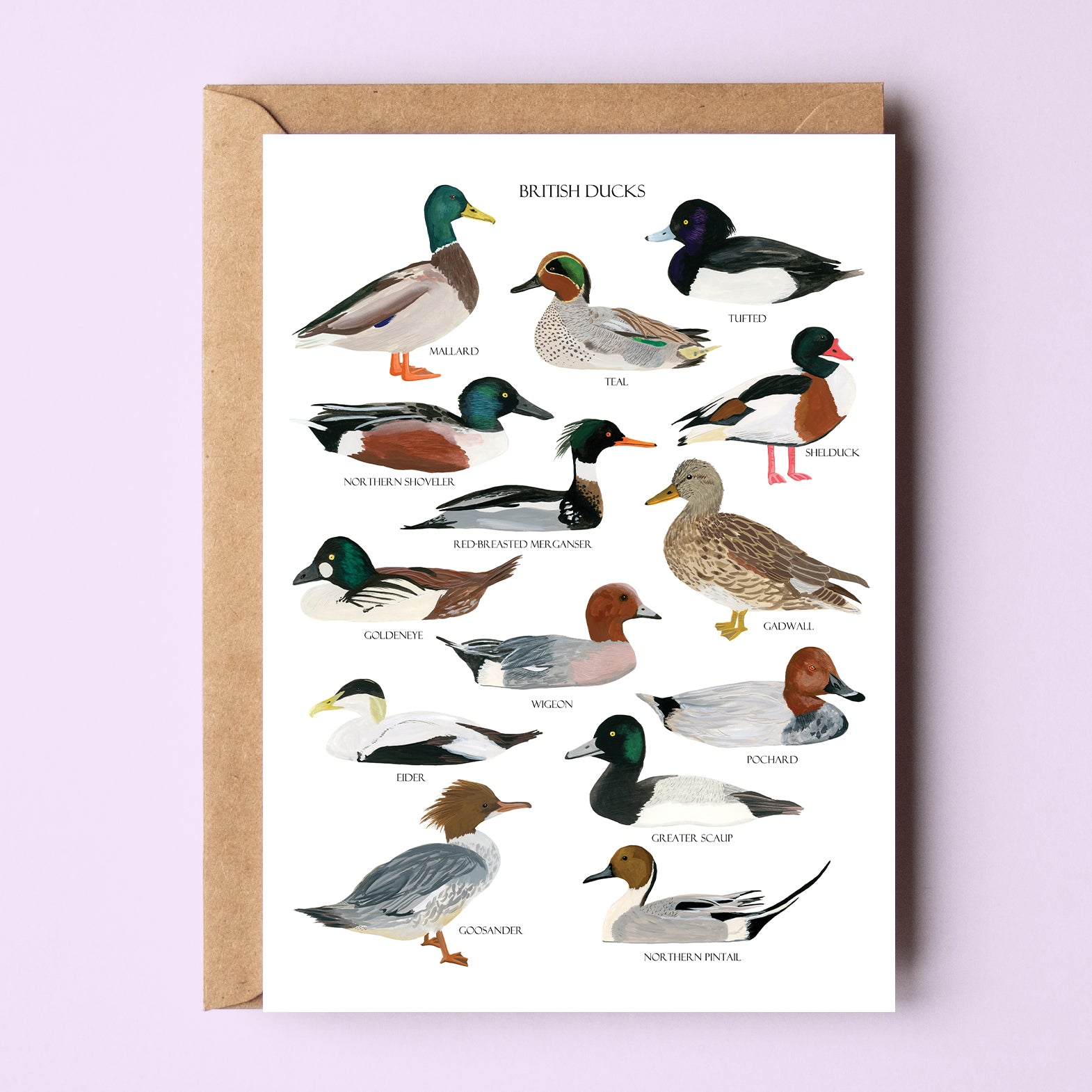 British Ducks Greetings Card - Sarah Frances