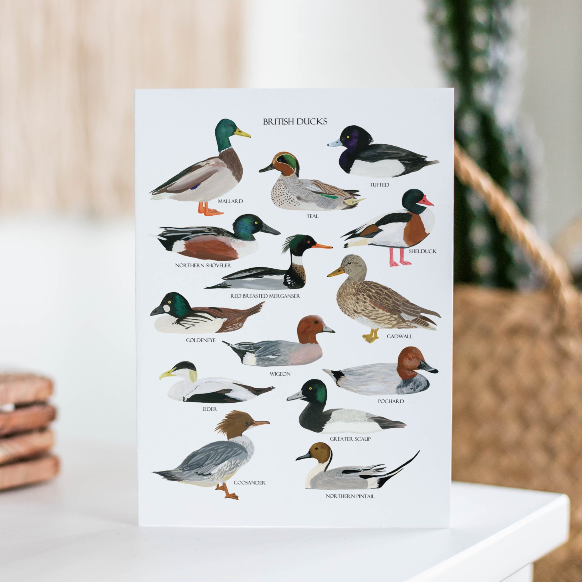 British Ducks Greetings Card - Sarah Frances