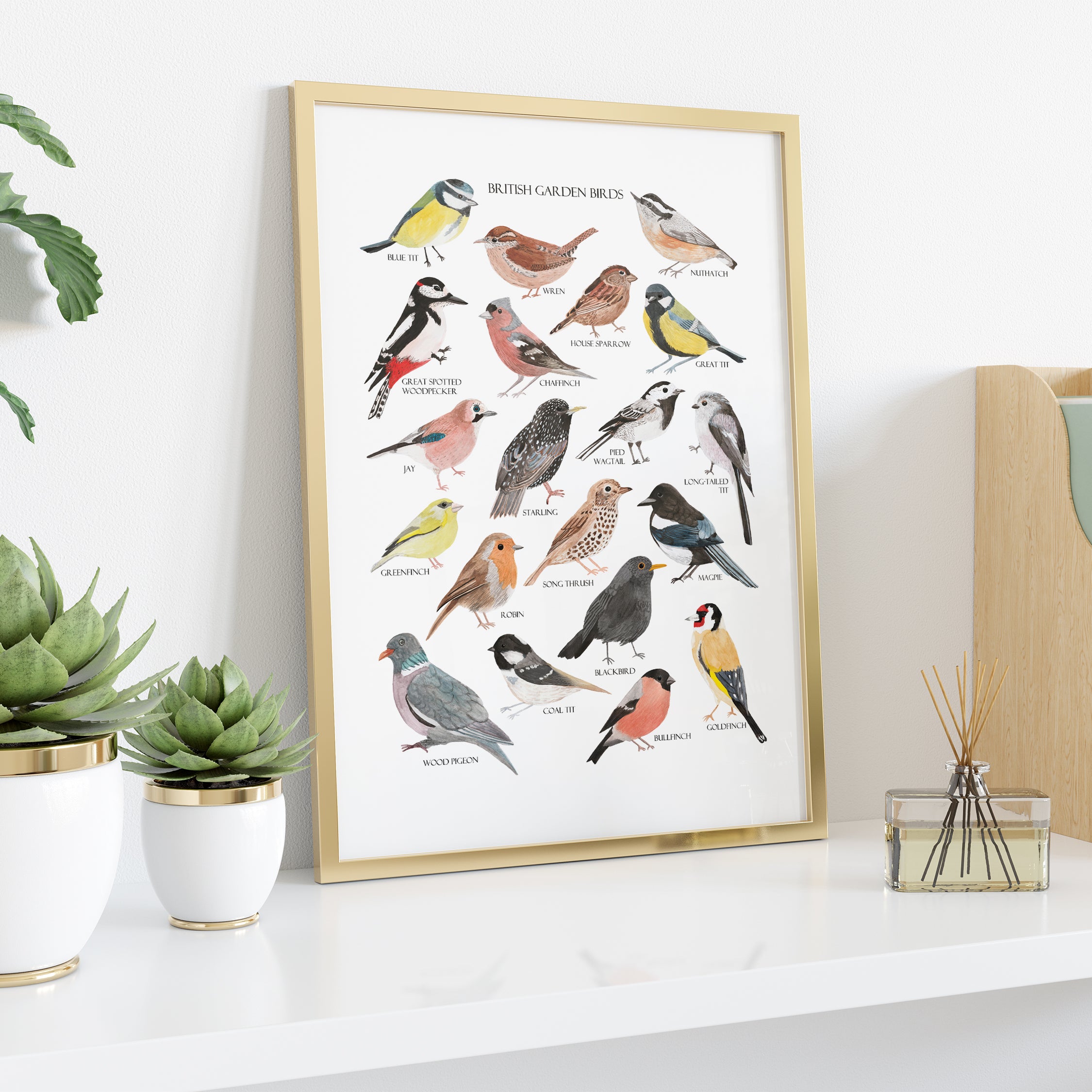 British Garden Birds Fine Art Print - Sarah Frances