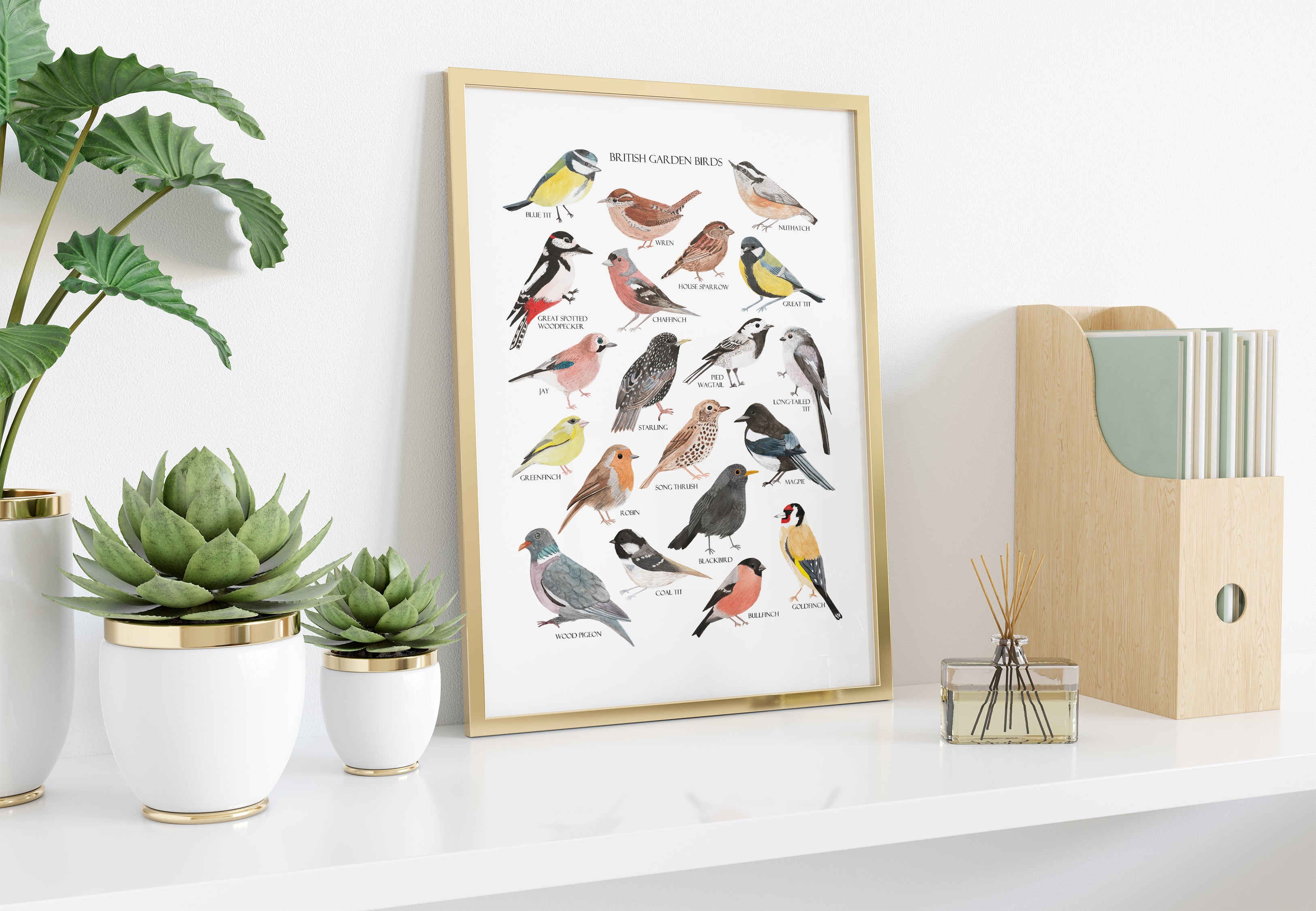 British Garden Birds Fine Art Print - Sarah Frances