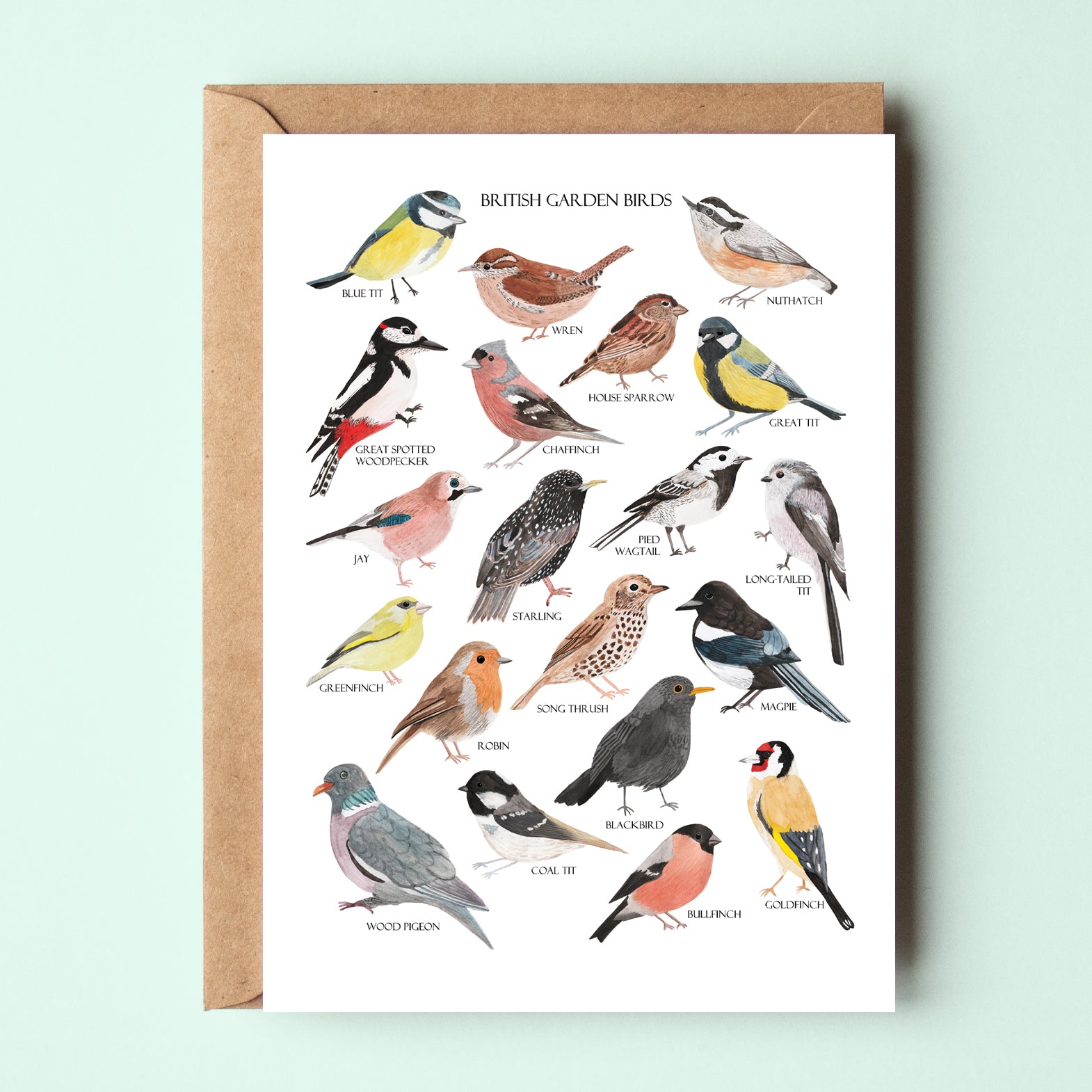 British Garden Birds Greetings Card - Sarah Frances