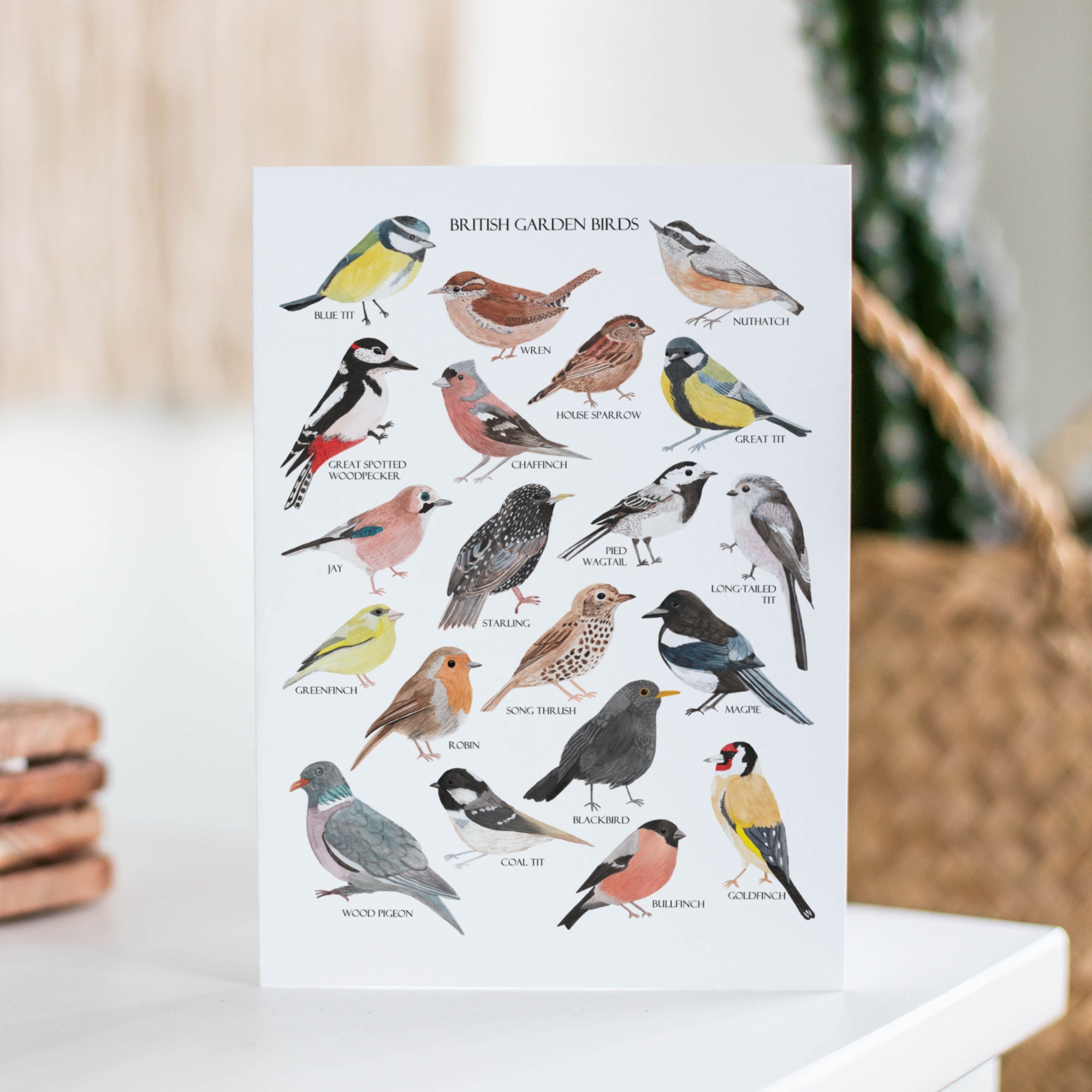 British Garden Birds Greetings Card - Sarah Frances