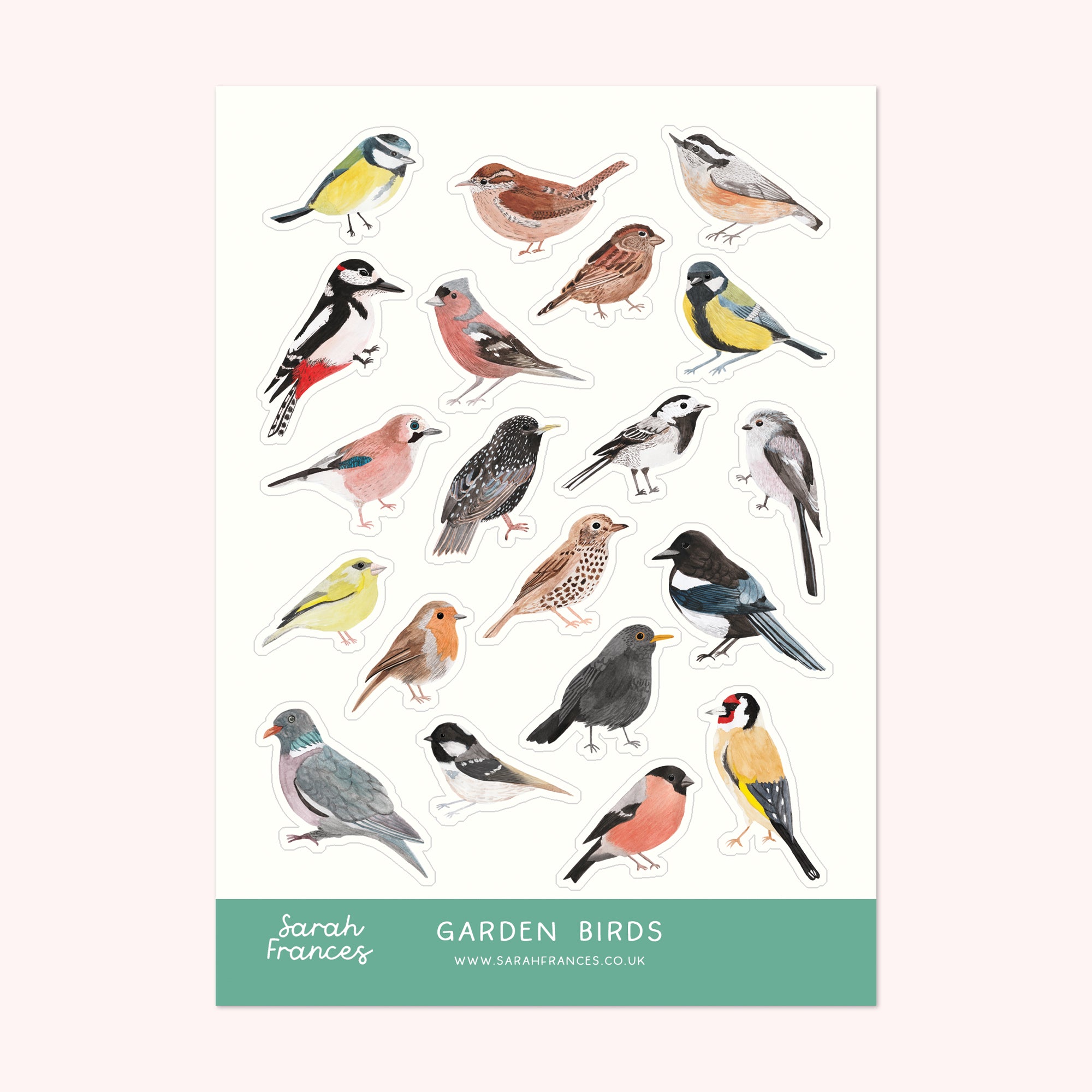 Garden Birds Sticker Sheet - Sarah Frances