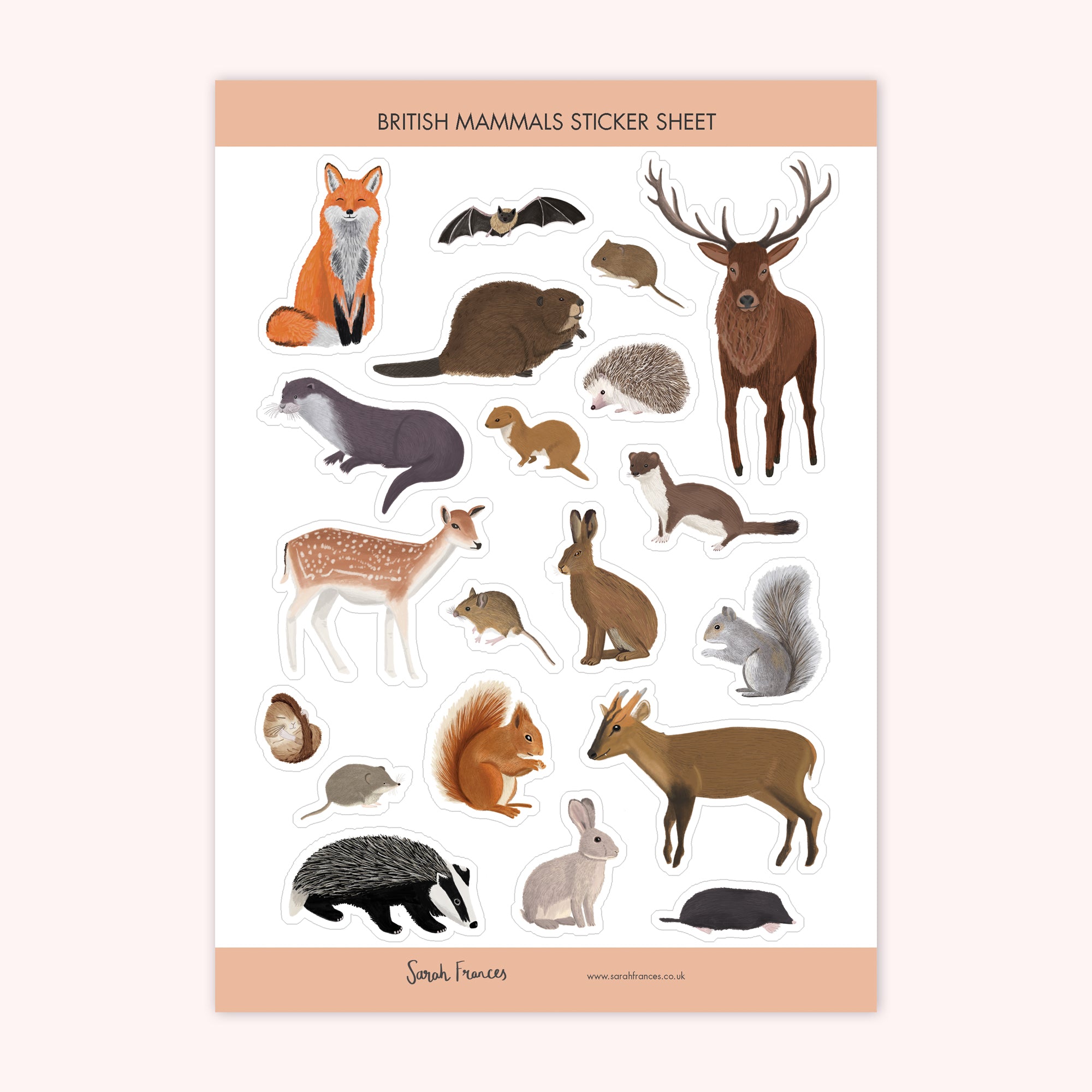 British Mammals Sticker Sheet - Sarah Frances