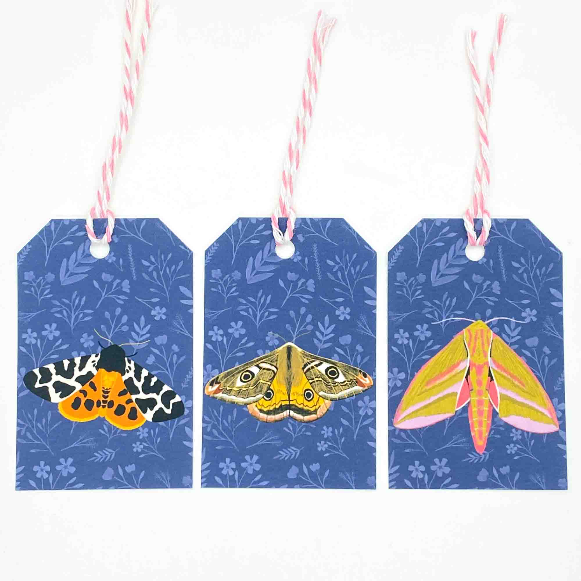British Moths Gift Tags - Sarah Frances