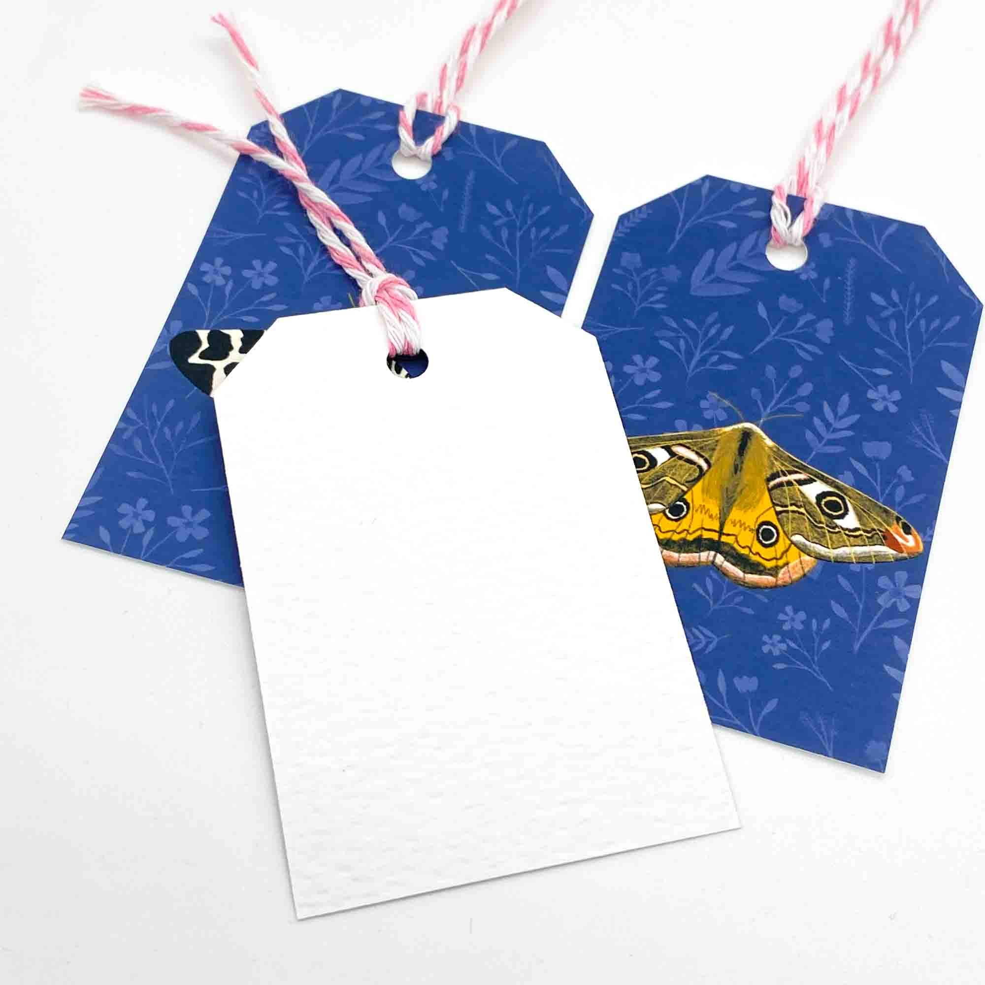 British Moths Gift Tags - Sarah Frances