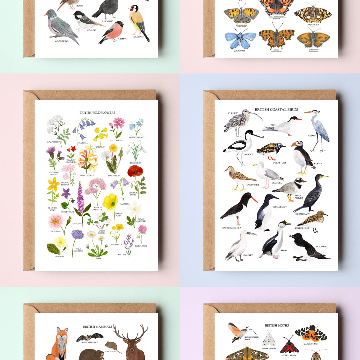 British Nature Greetings Card Packs - Two Volumes - Sarah Frances