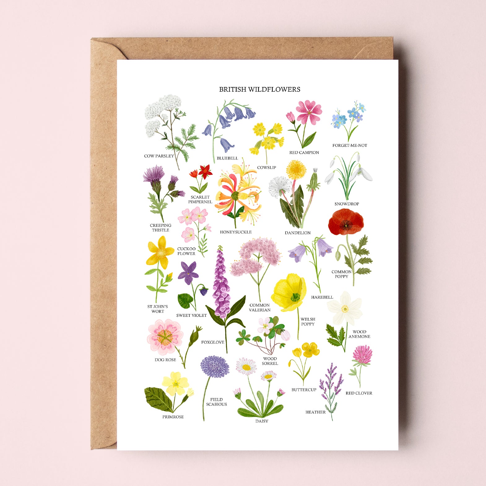 British Wildflowers Greetings Card - Sarah Frances