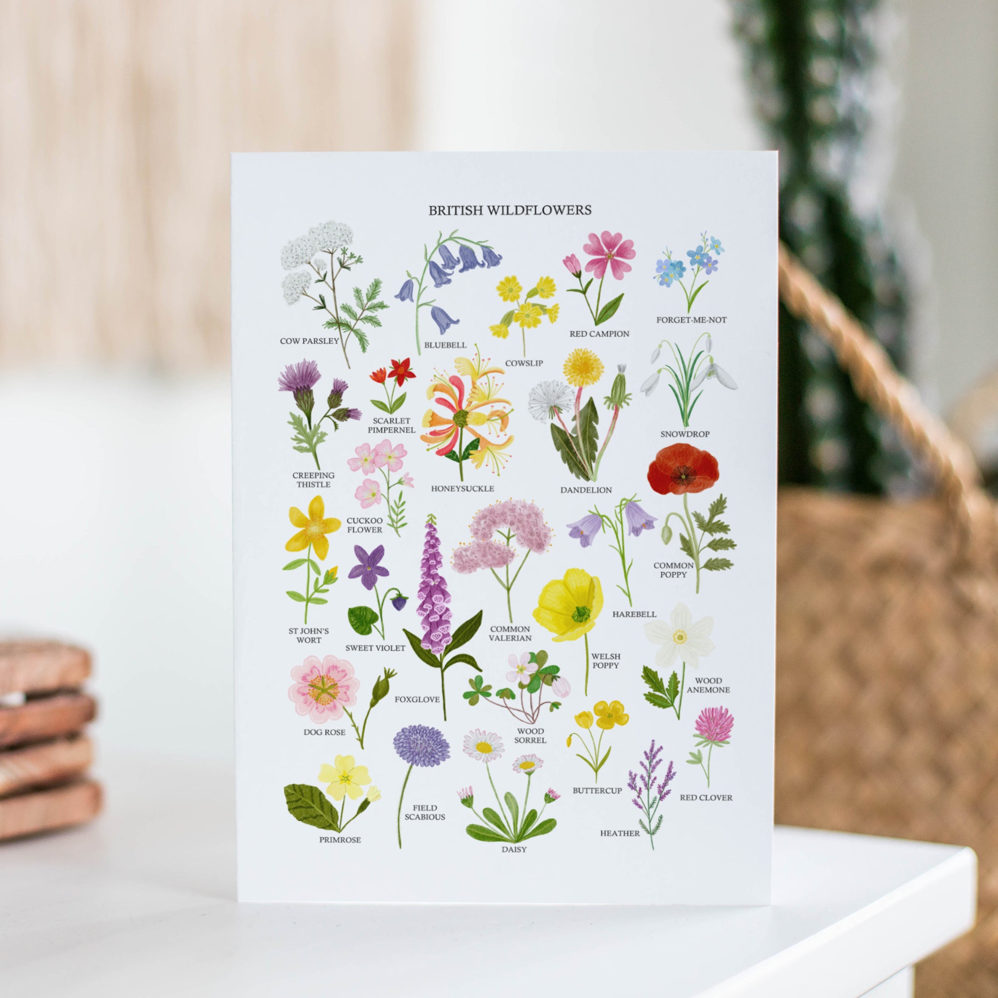 British Wildflowers Greetings Card - Sarah Frances