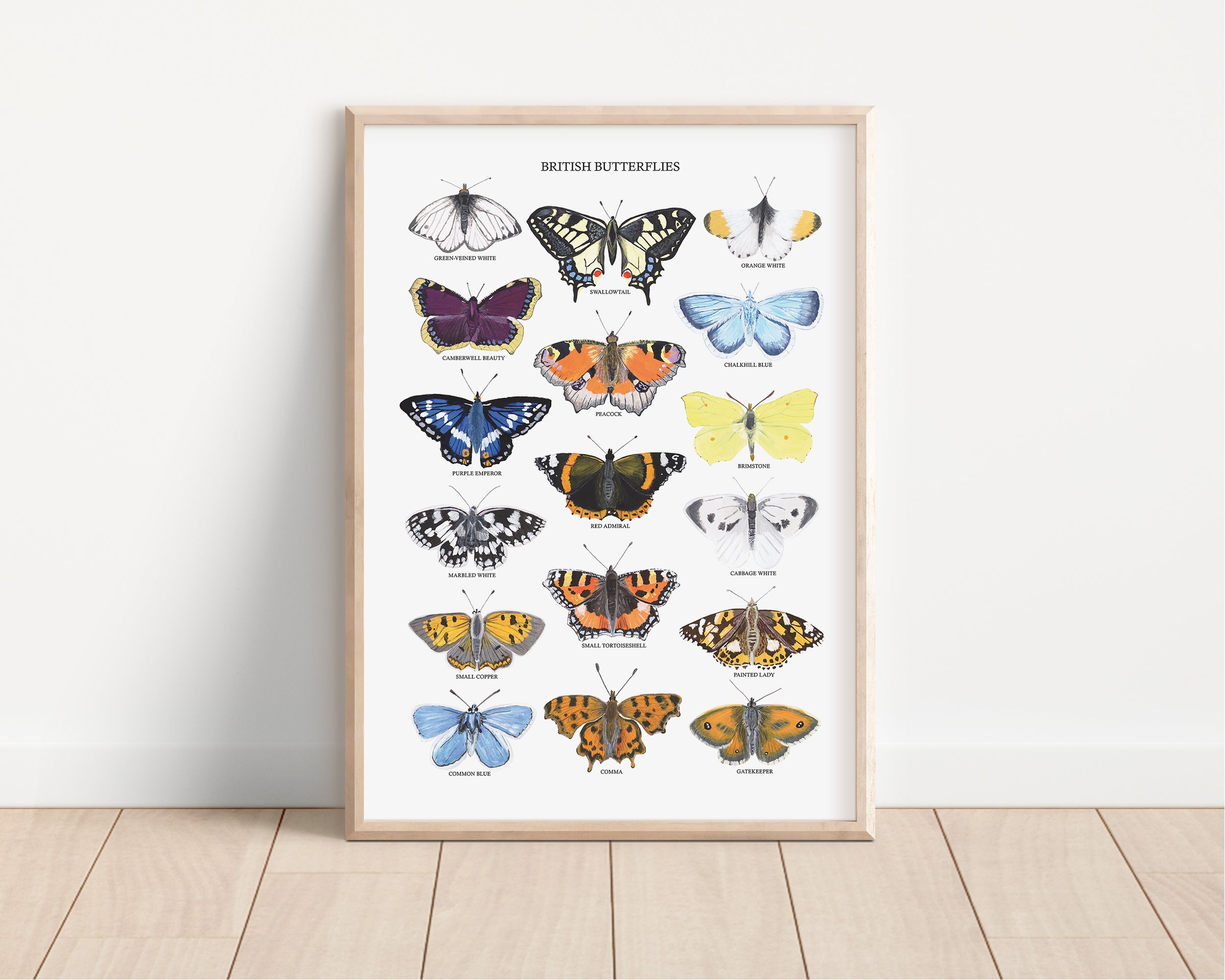 British Butterflies Art Print - Sarah Frances