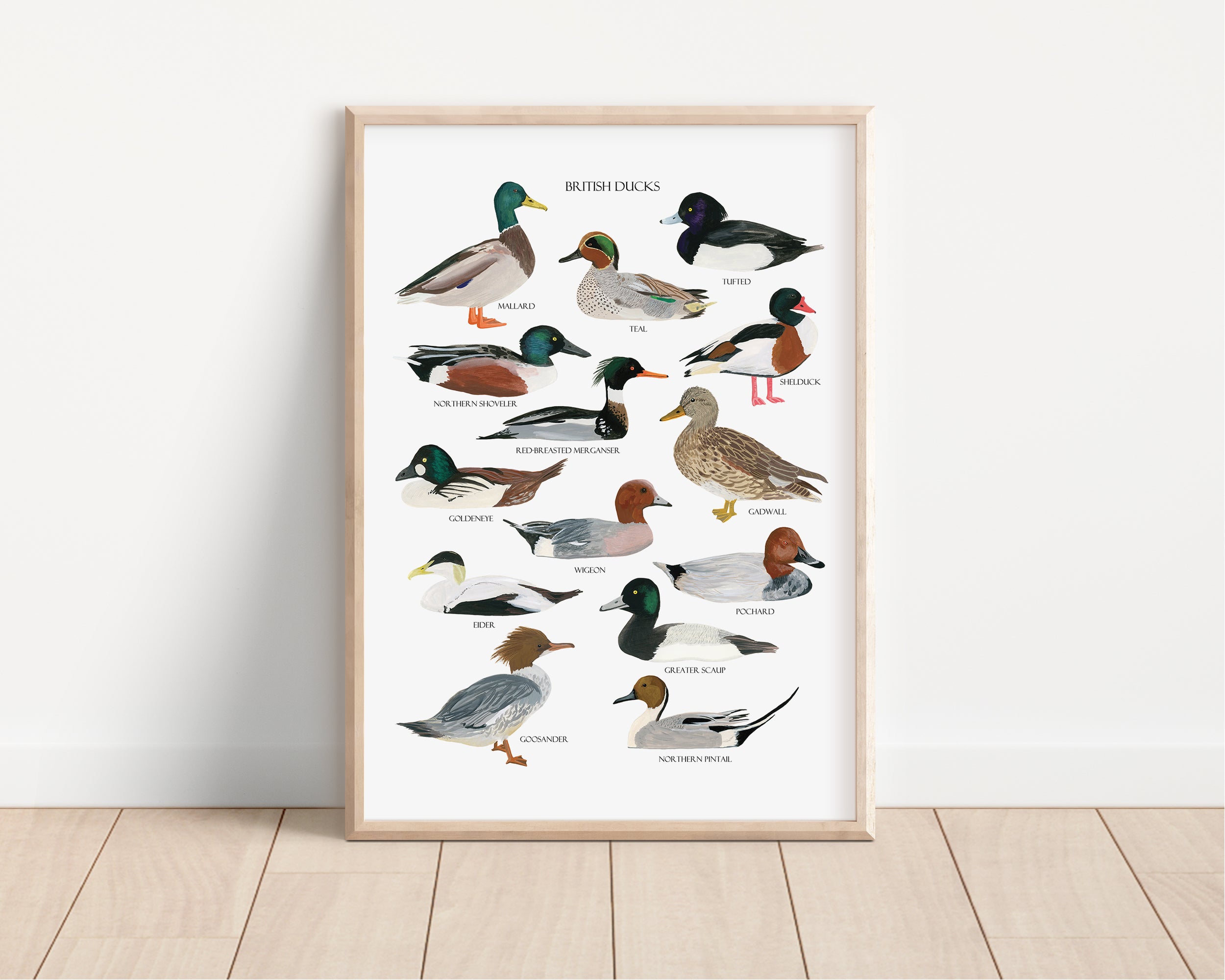 British Ducks Art Print - Sarah Frances