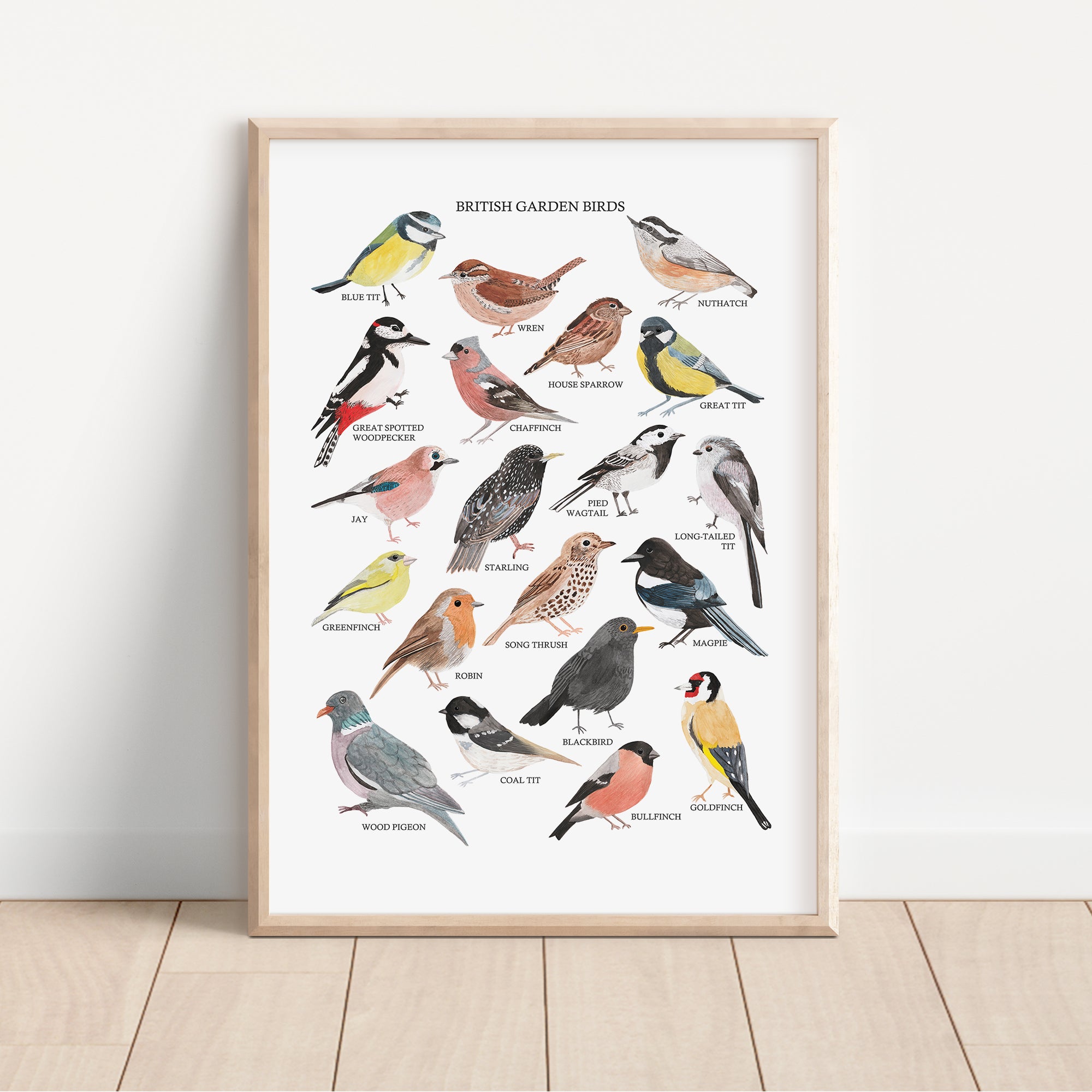 British Garden Birds Art Print - Sarah Frances