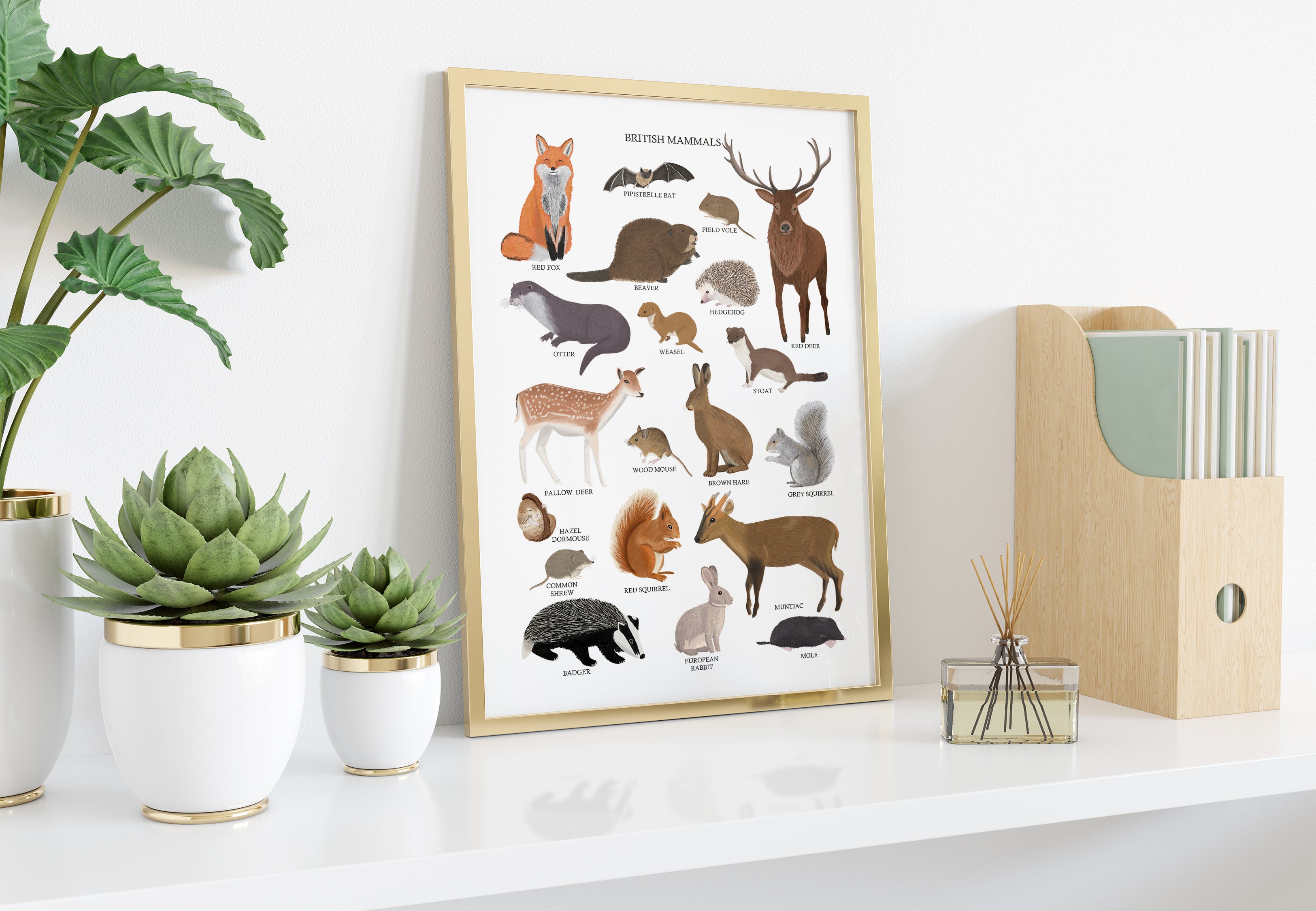 British Mammals Art Print - Sarah Frances