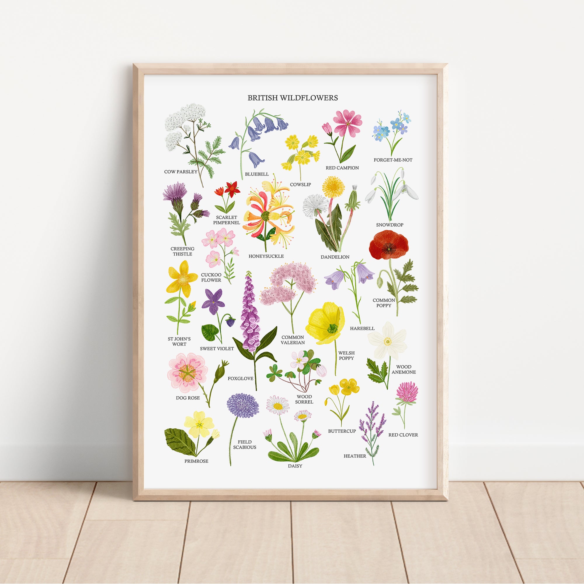 British Wildflowers Art Print - Sarah Frances