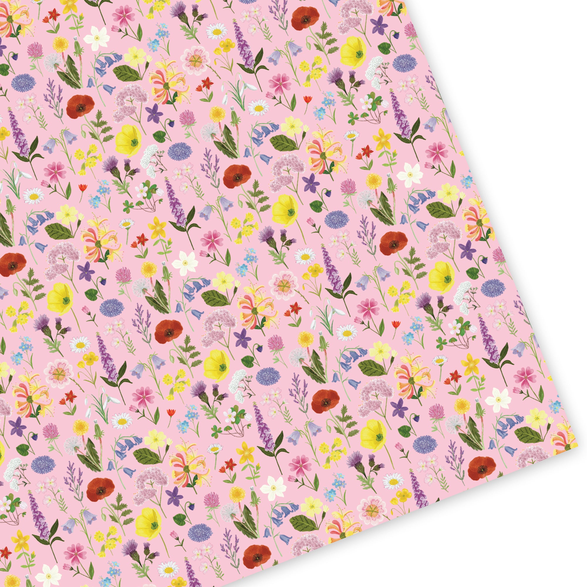British Wildflowers Wrapping Paper - Sarah Frances