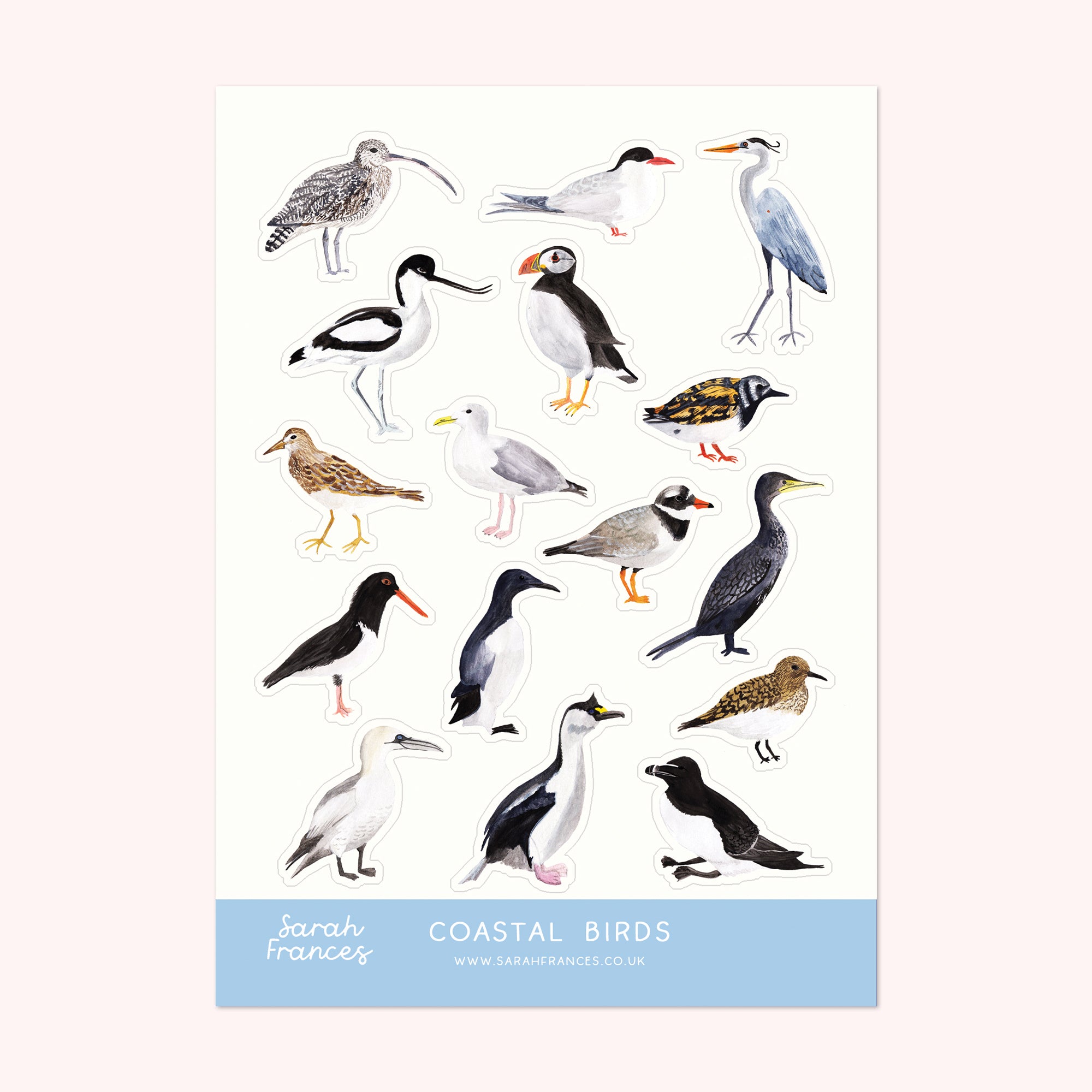 British Coastal Birds Sticker Sheet - Sarah Frances