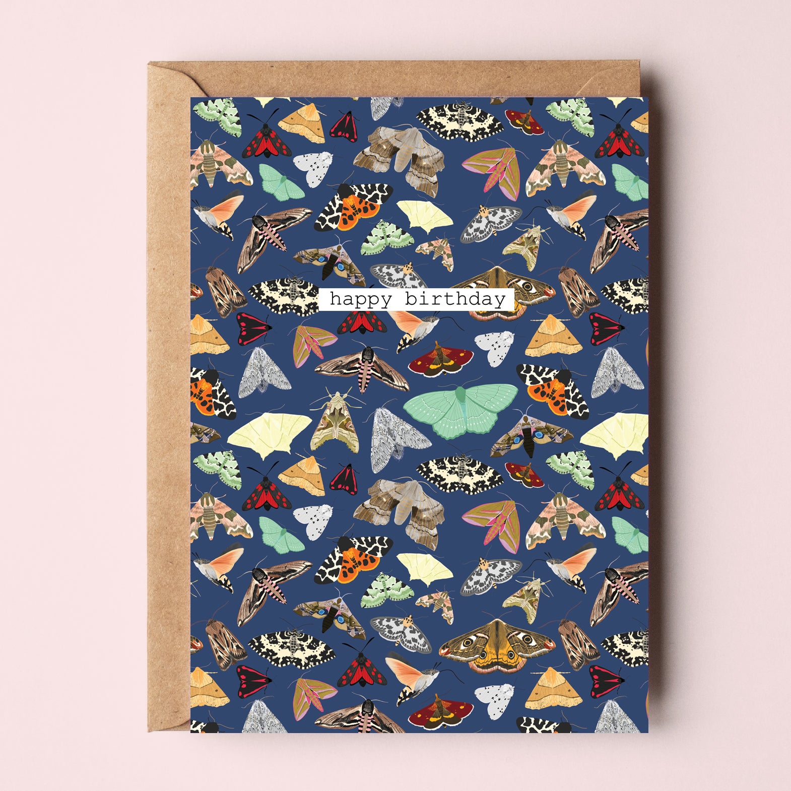 Happy Birthday Moths Greetings Card - Sarah Frances