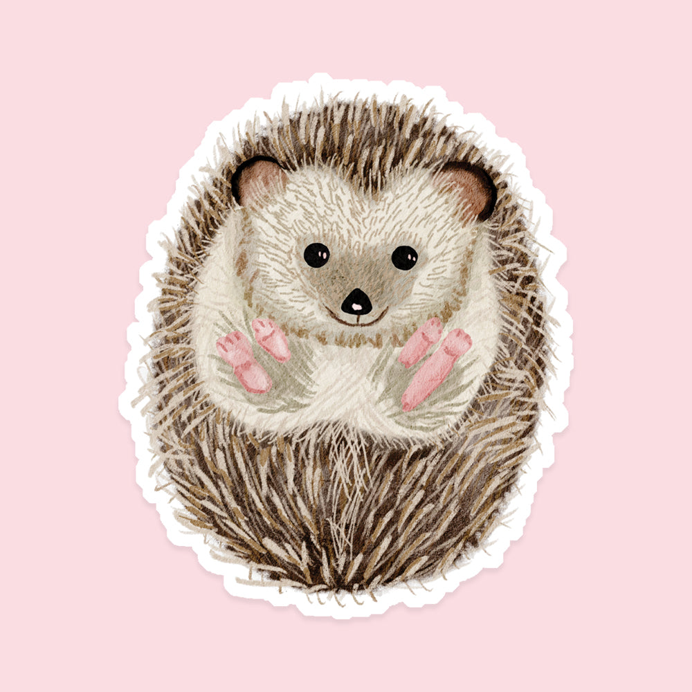 Hedgehog Vinyl Sticker - Sarah Frances