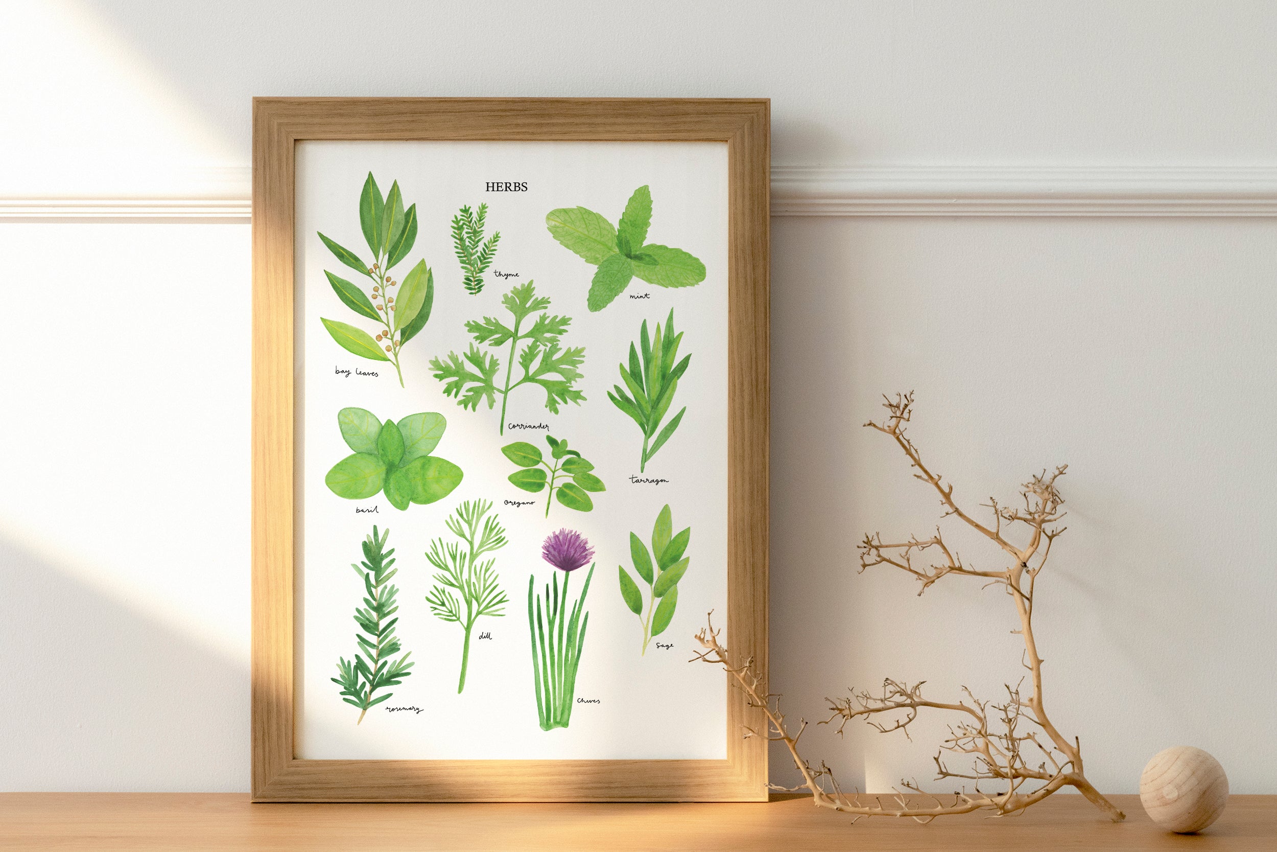 Herbs Art Print - Sarah Frances