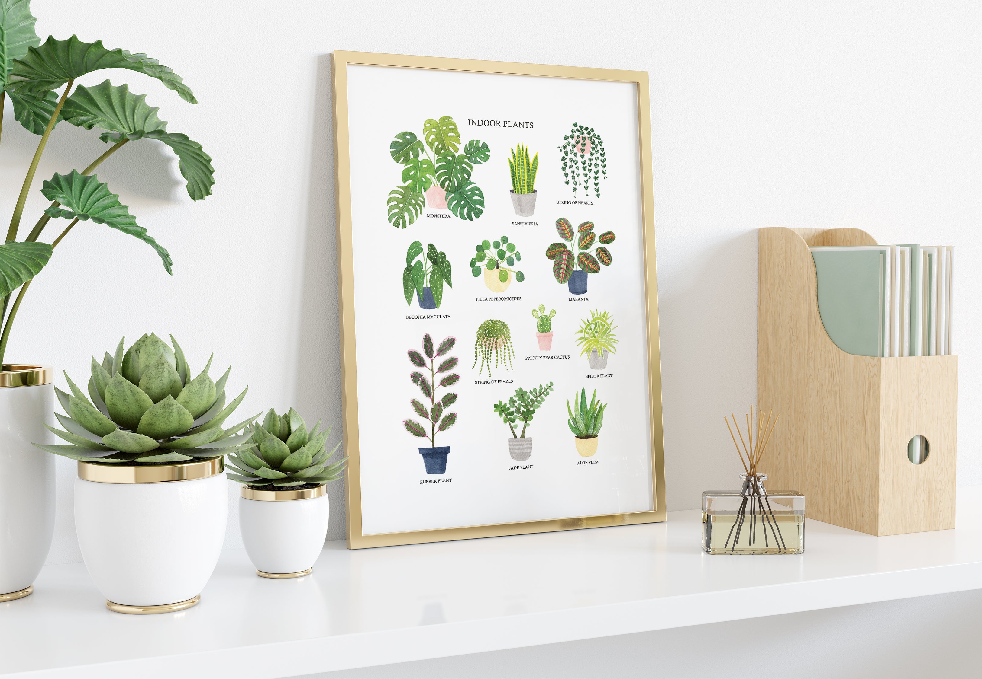 Indoor Plants Art Print - Sarah Frances