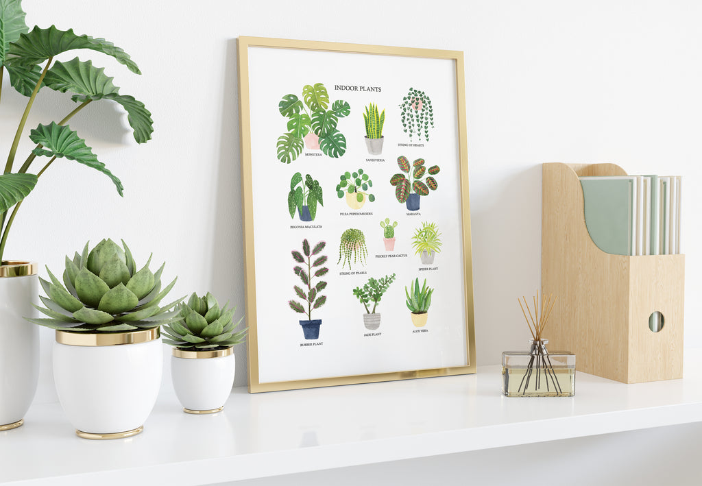 Indoor Plants Art Print - Sarah Frances 