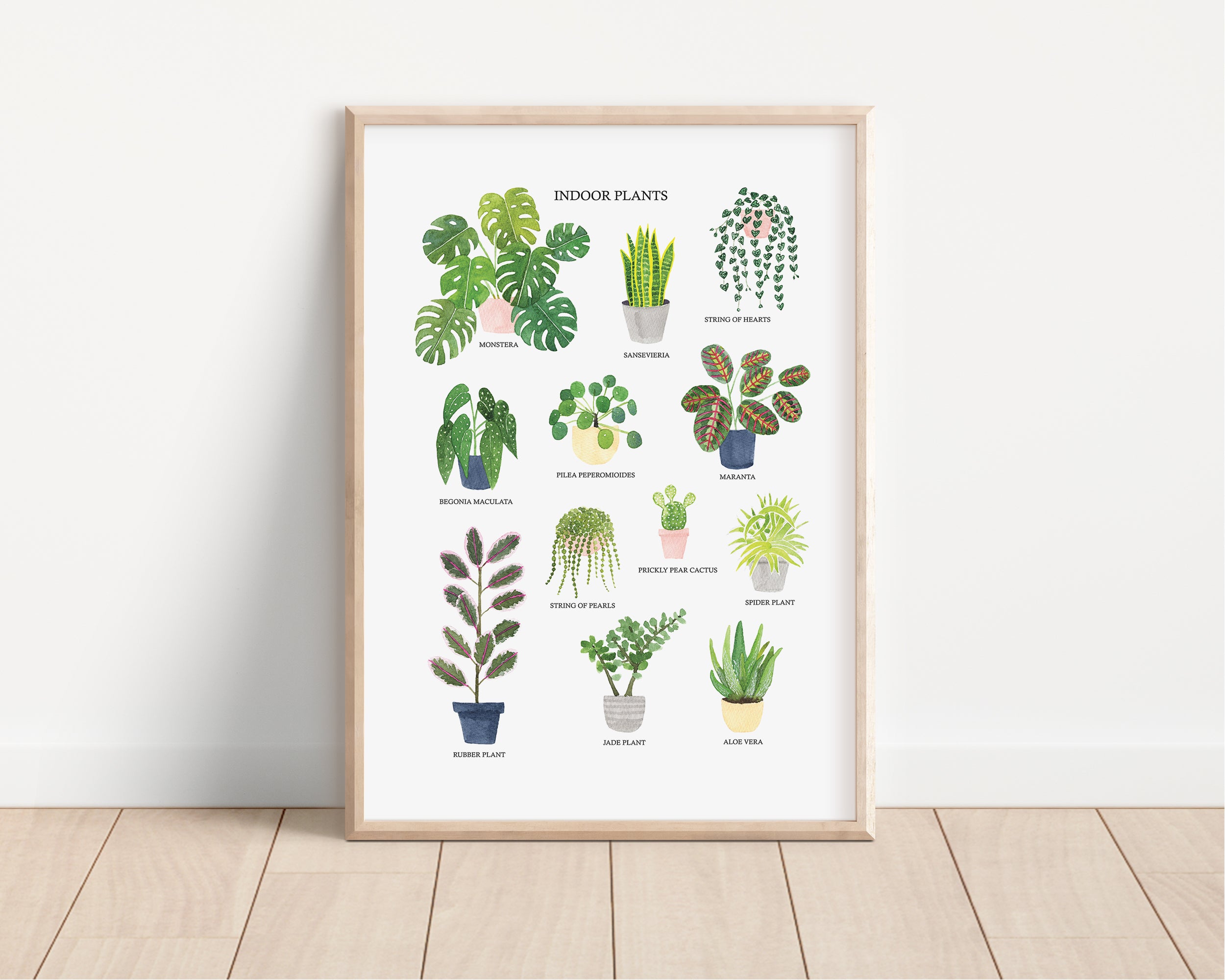 Indoor Plants Art Print - Sarah Frances