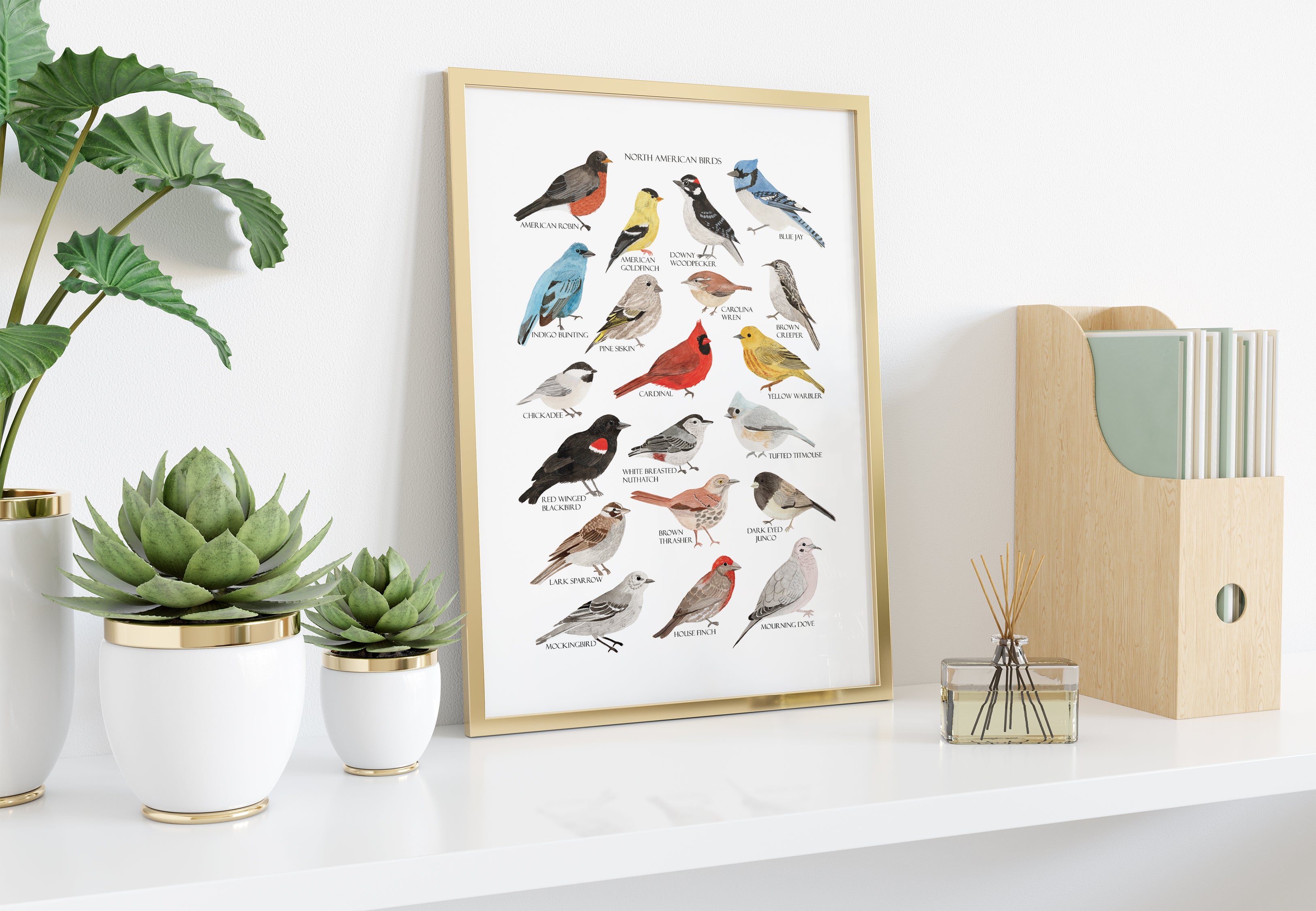 North American Birds Art Print - Sarah Frances