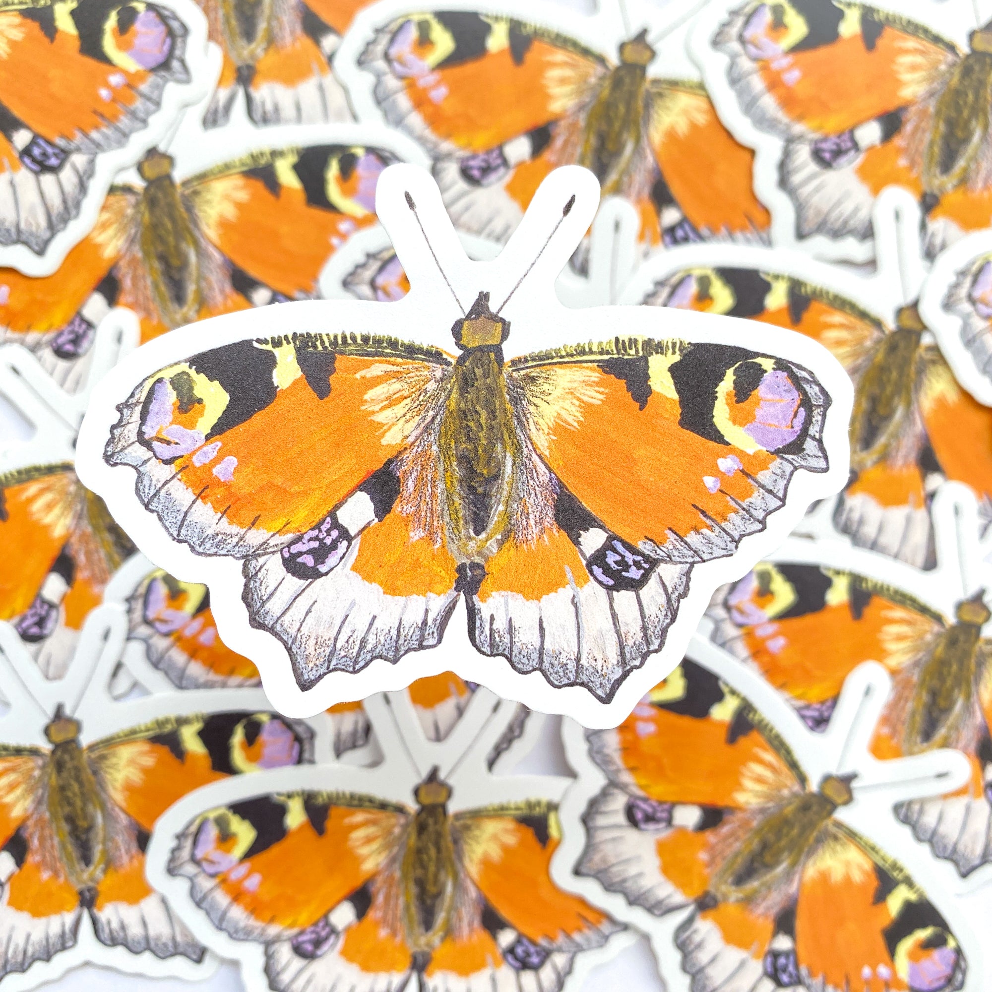 Peacock Butterfly Vinyl Sticker - Sarah Frances