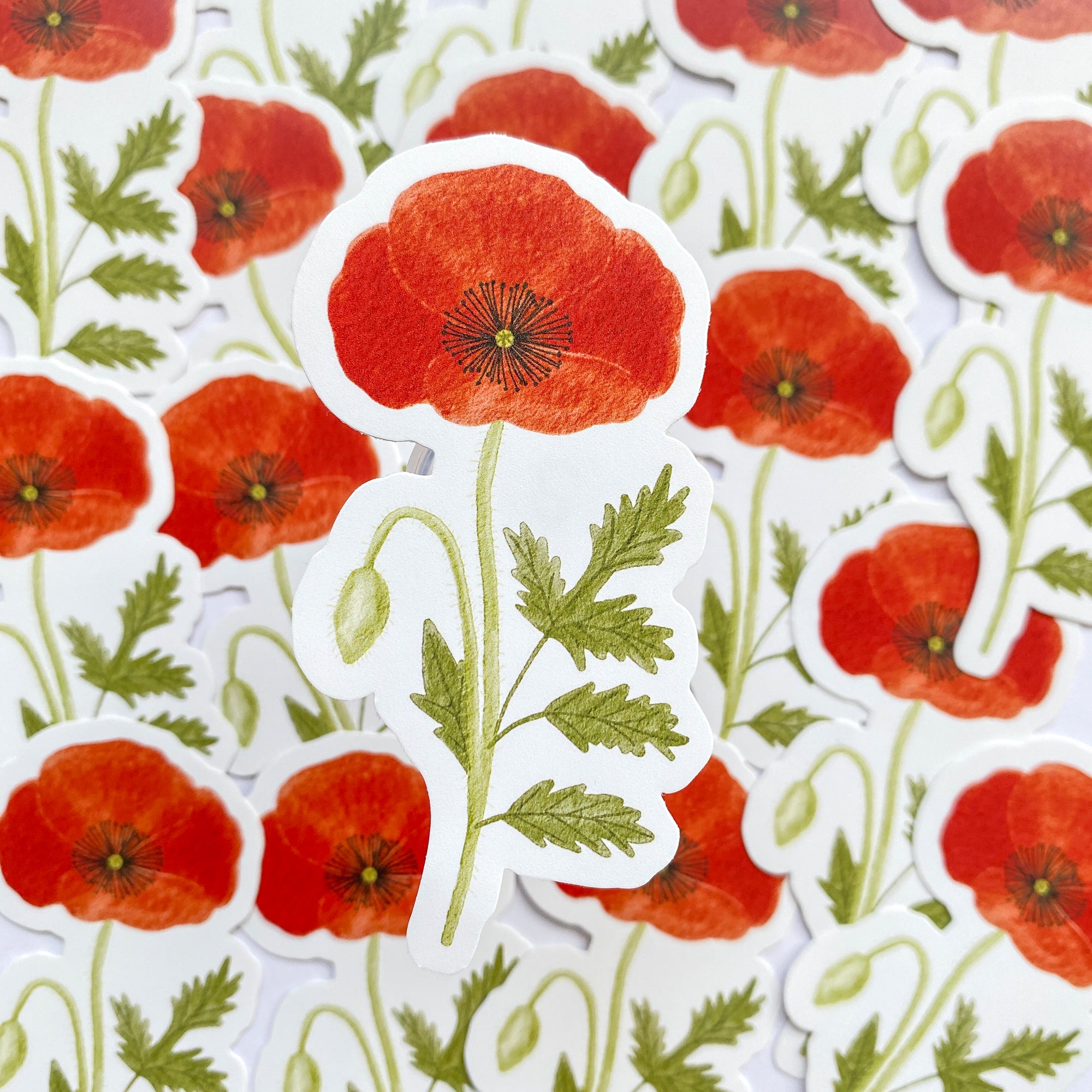 Poppy Vinyl Sticker - Sarah Frances