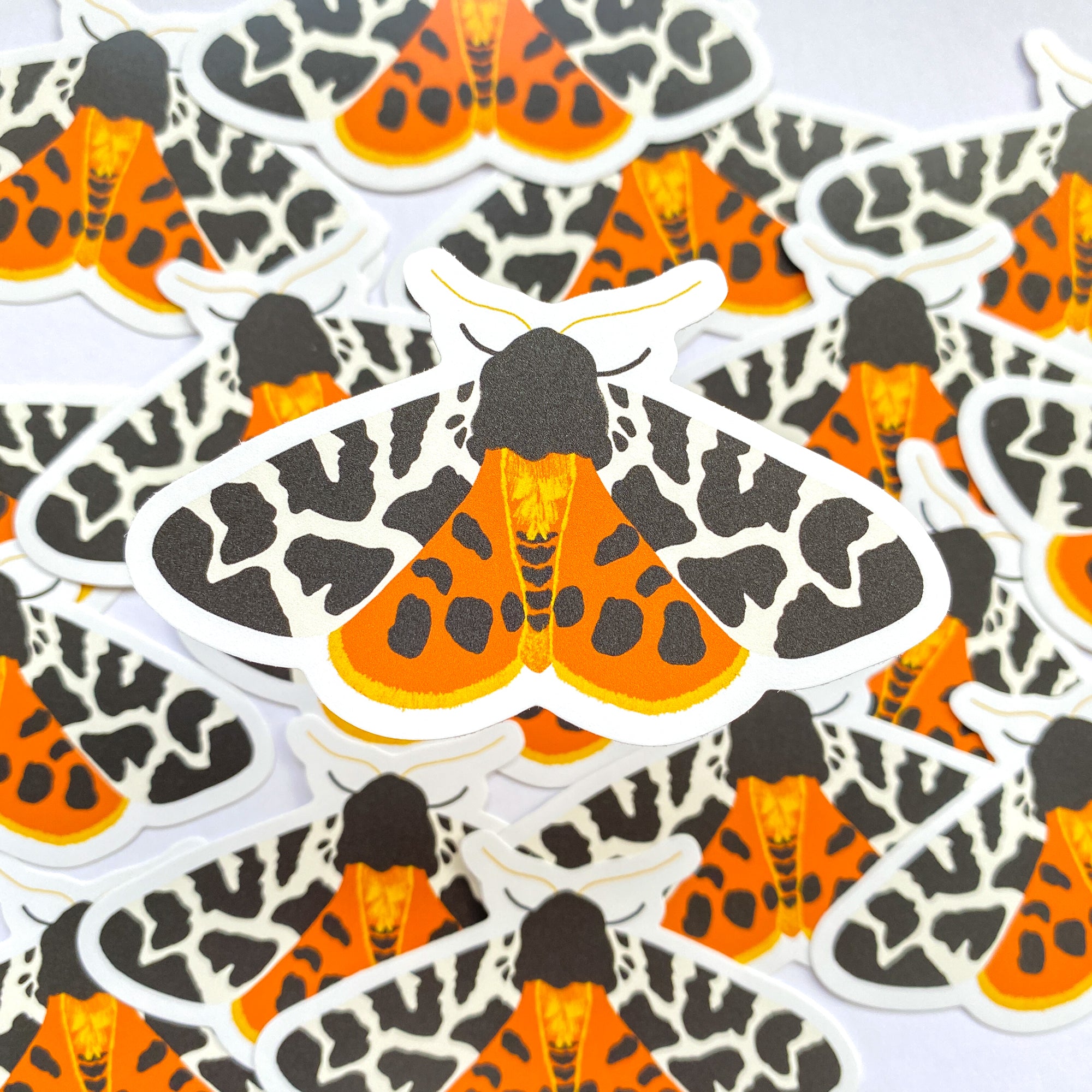 Tiger Moth Vinyl Sticker - Sarah Frances