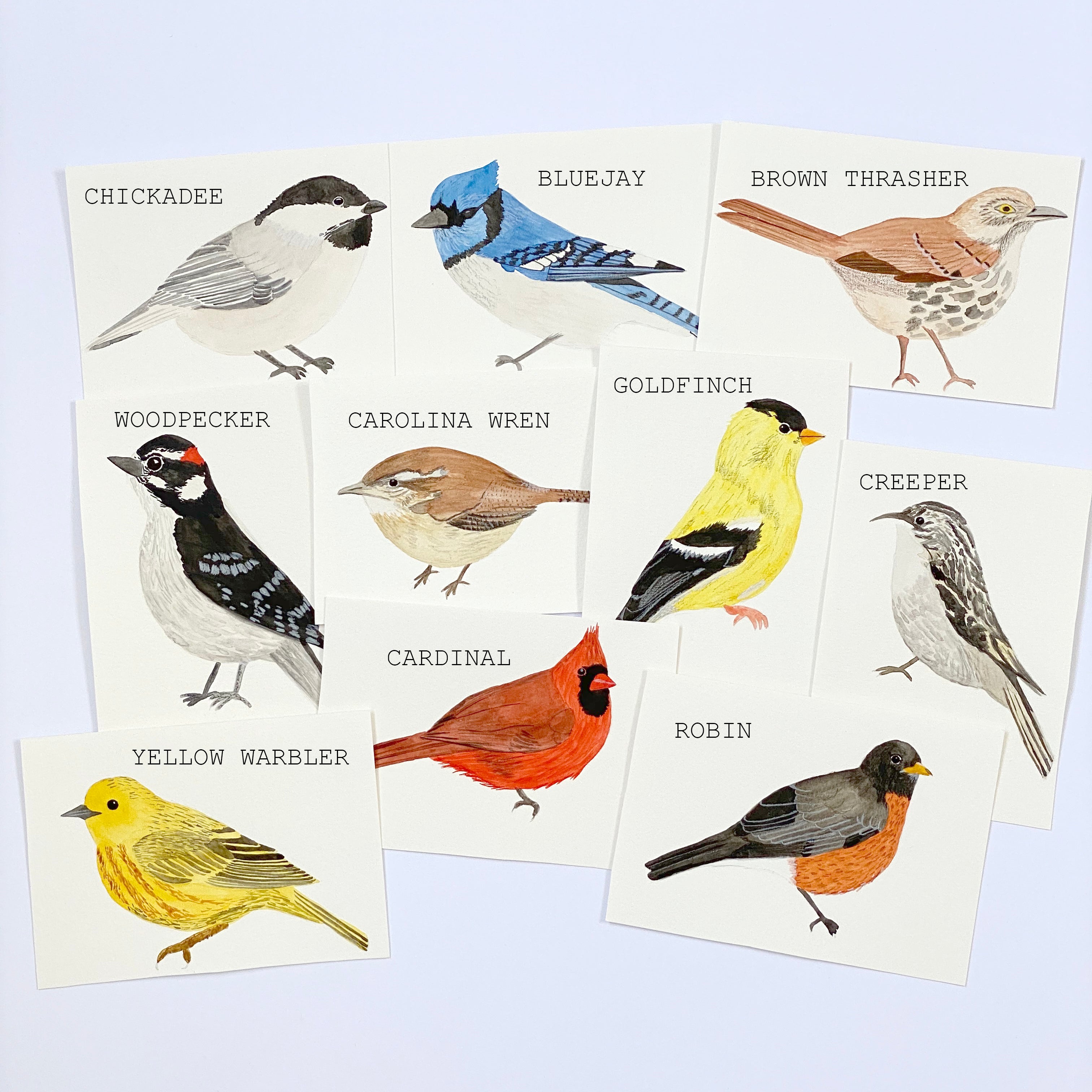 American Birds - Original 10x15cm Watercolour Paintings - By Sarah Frances - Sarah Frances