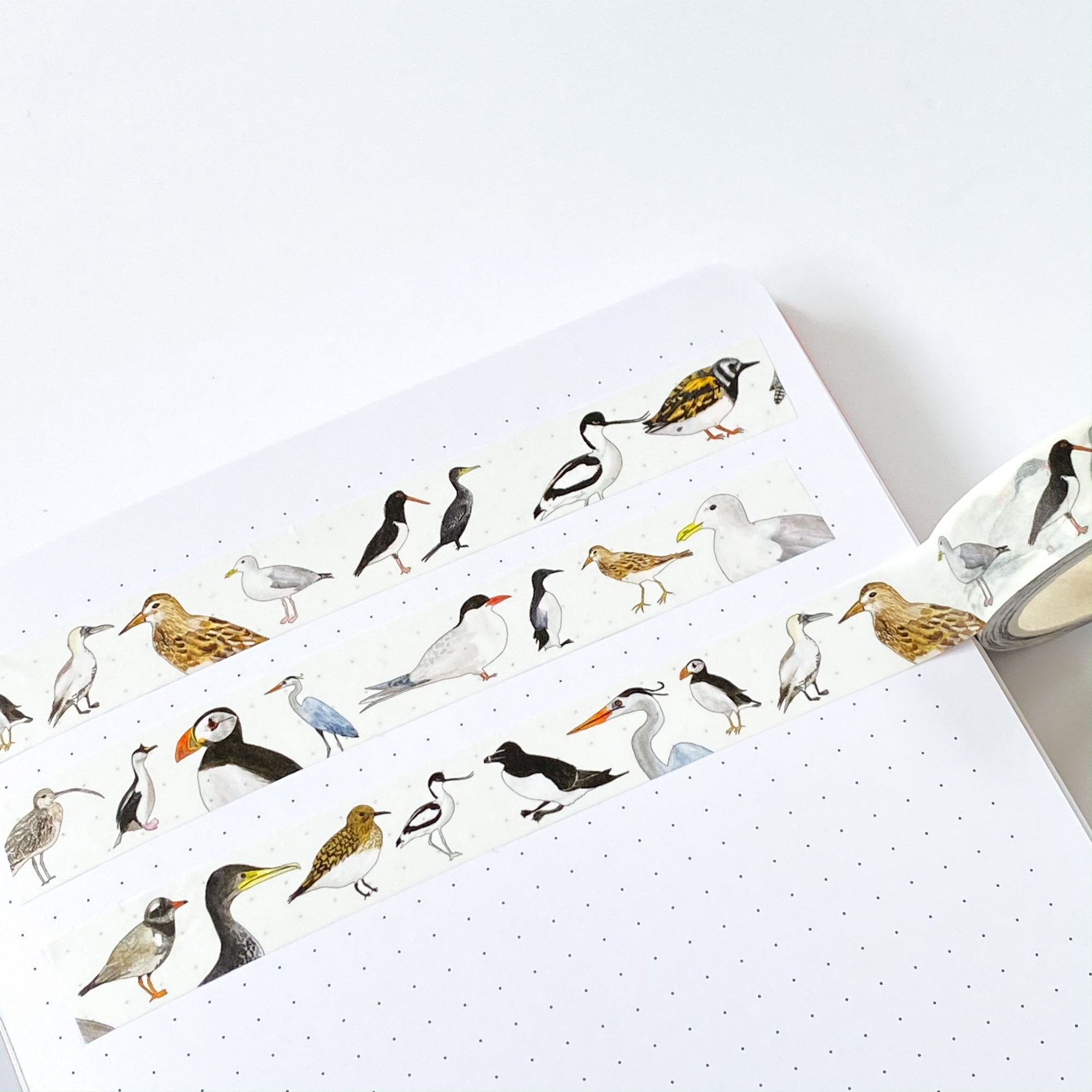 British Coastal Birds Washi Tape - Sarah Frances